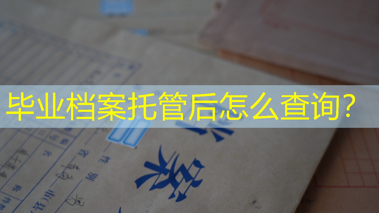 档案查询