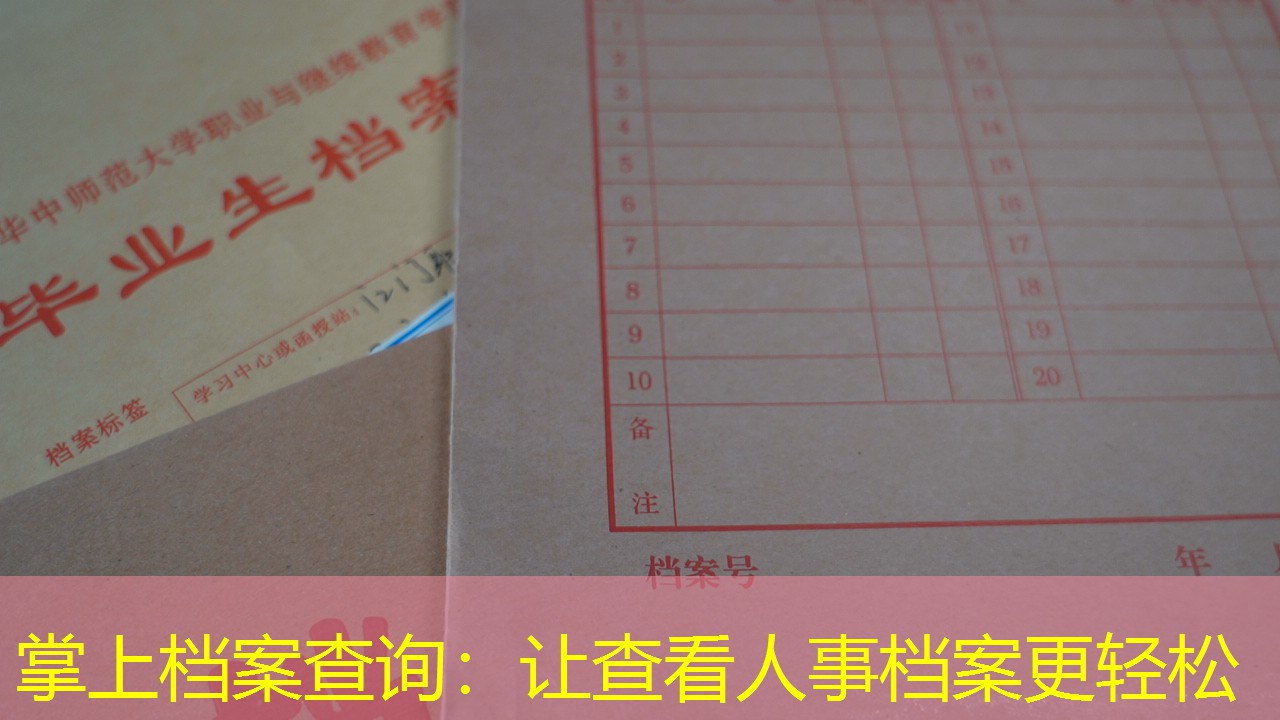 档案查询