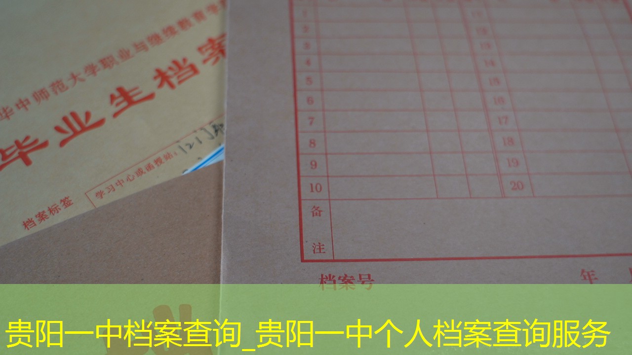 档案查询