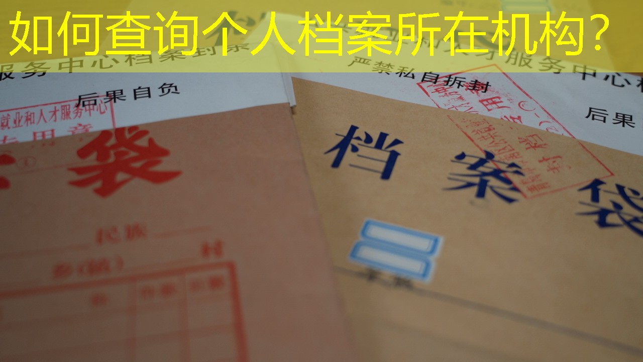 档案查询
