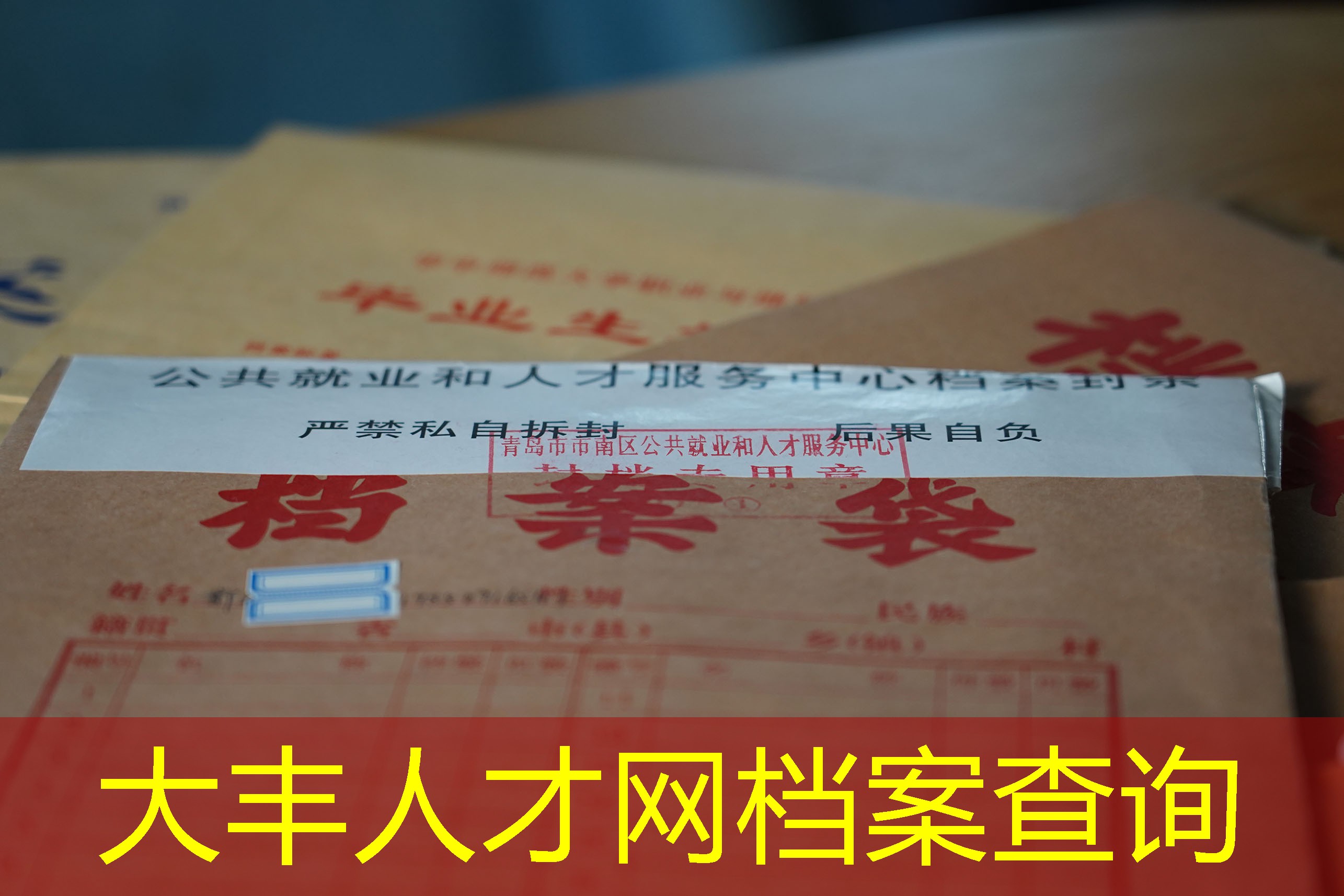 档案查询