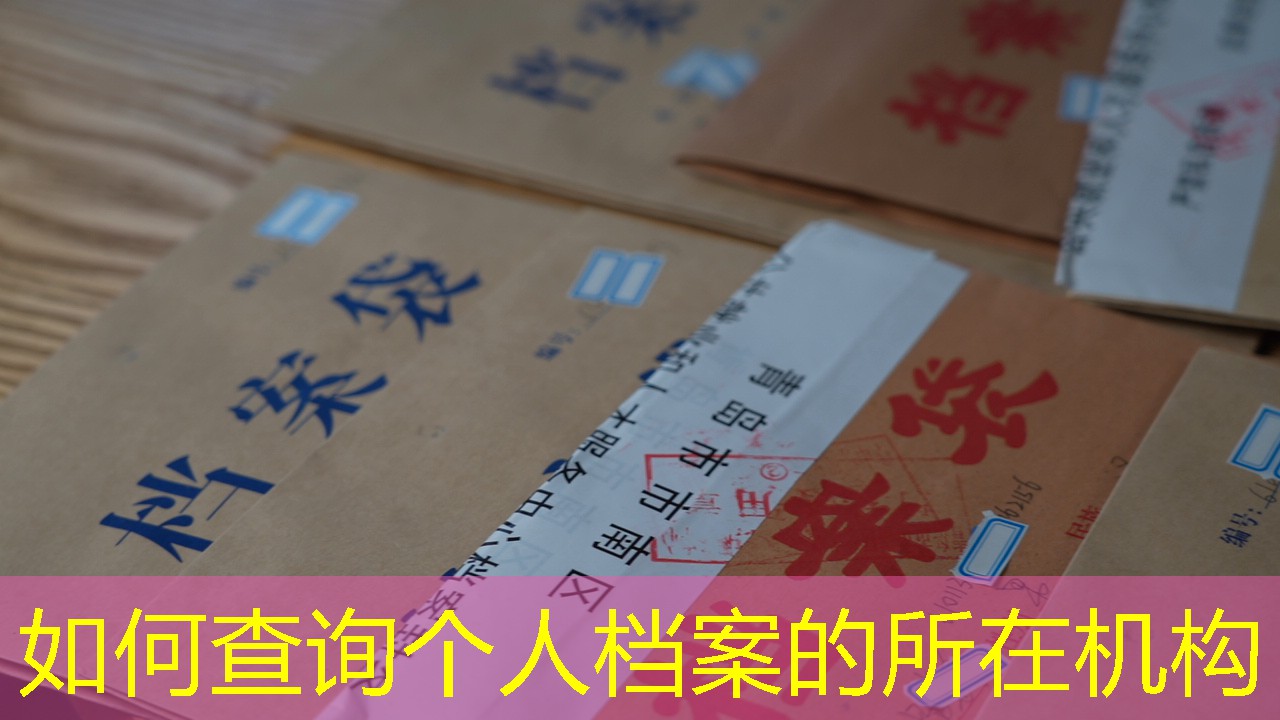 档案查询