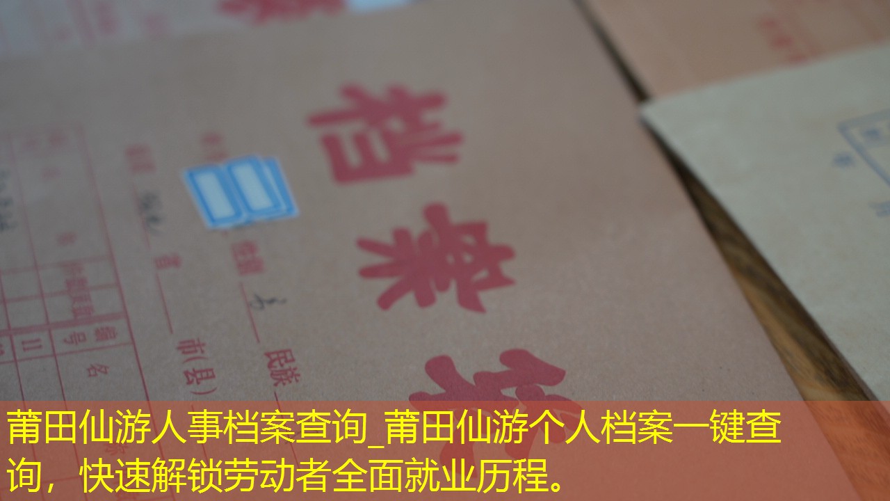 档案查询