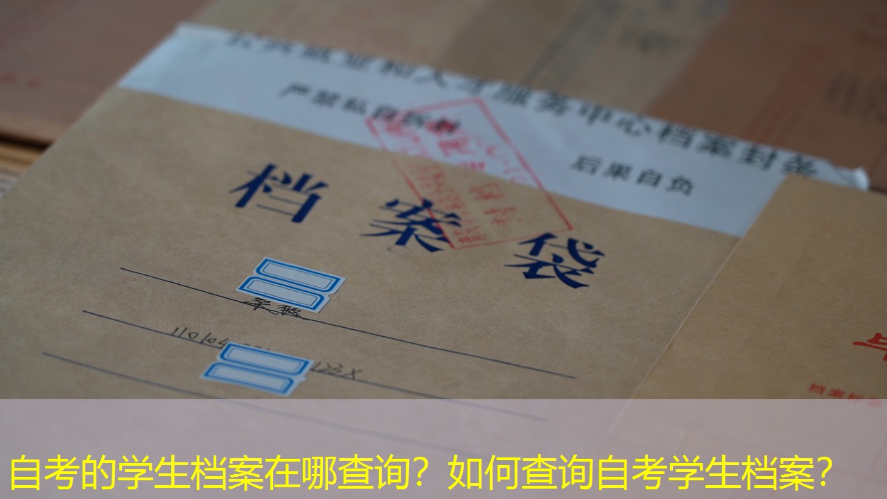 档案查询