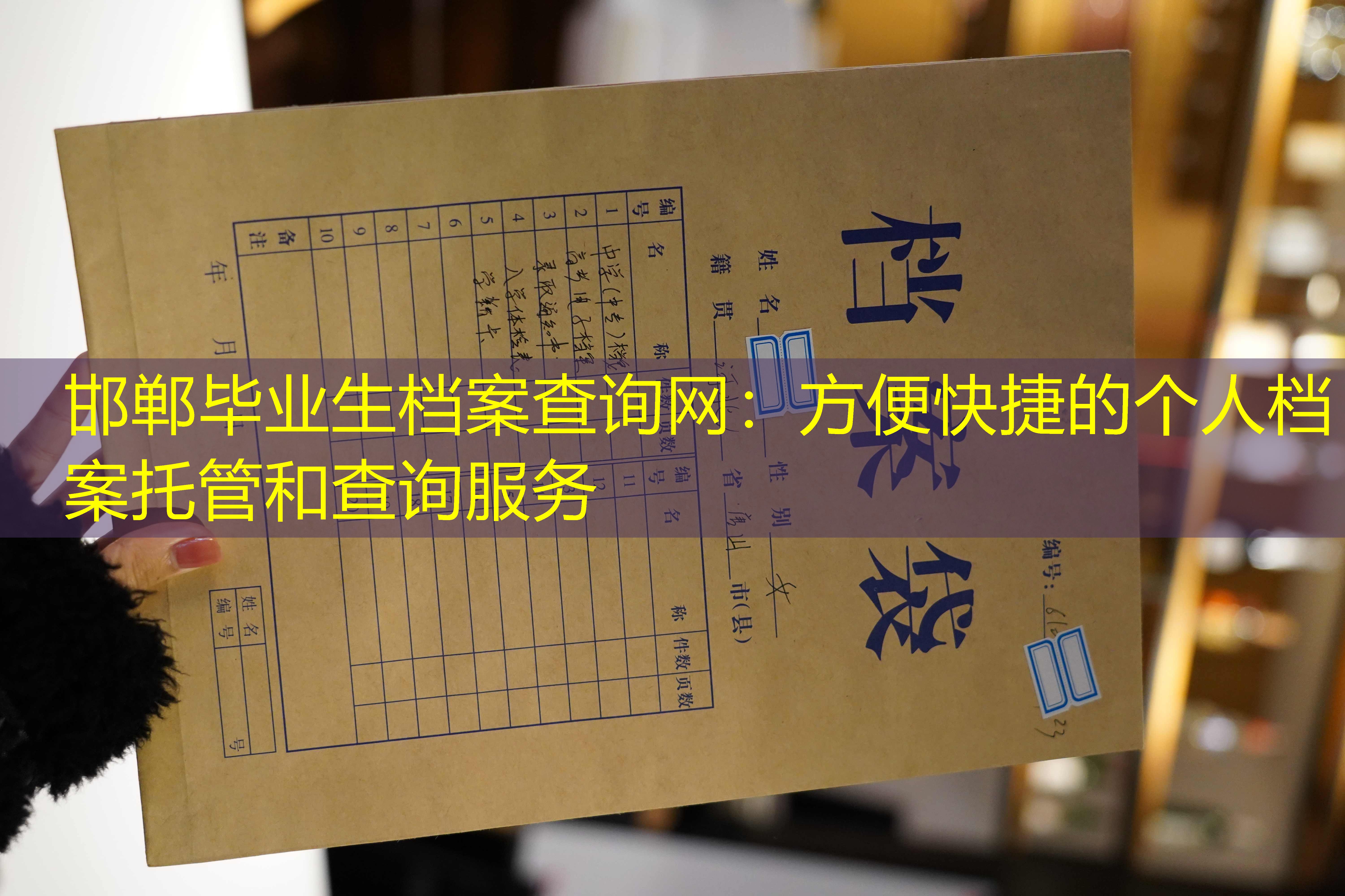 档案查询