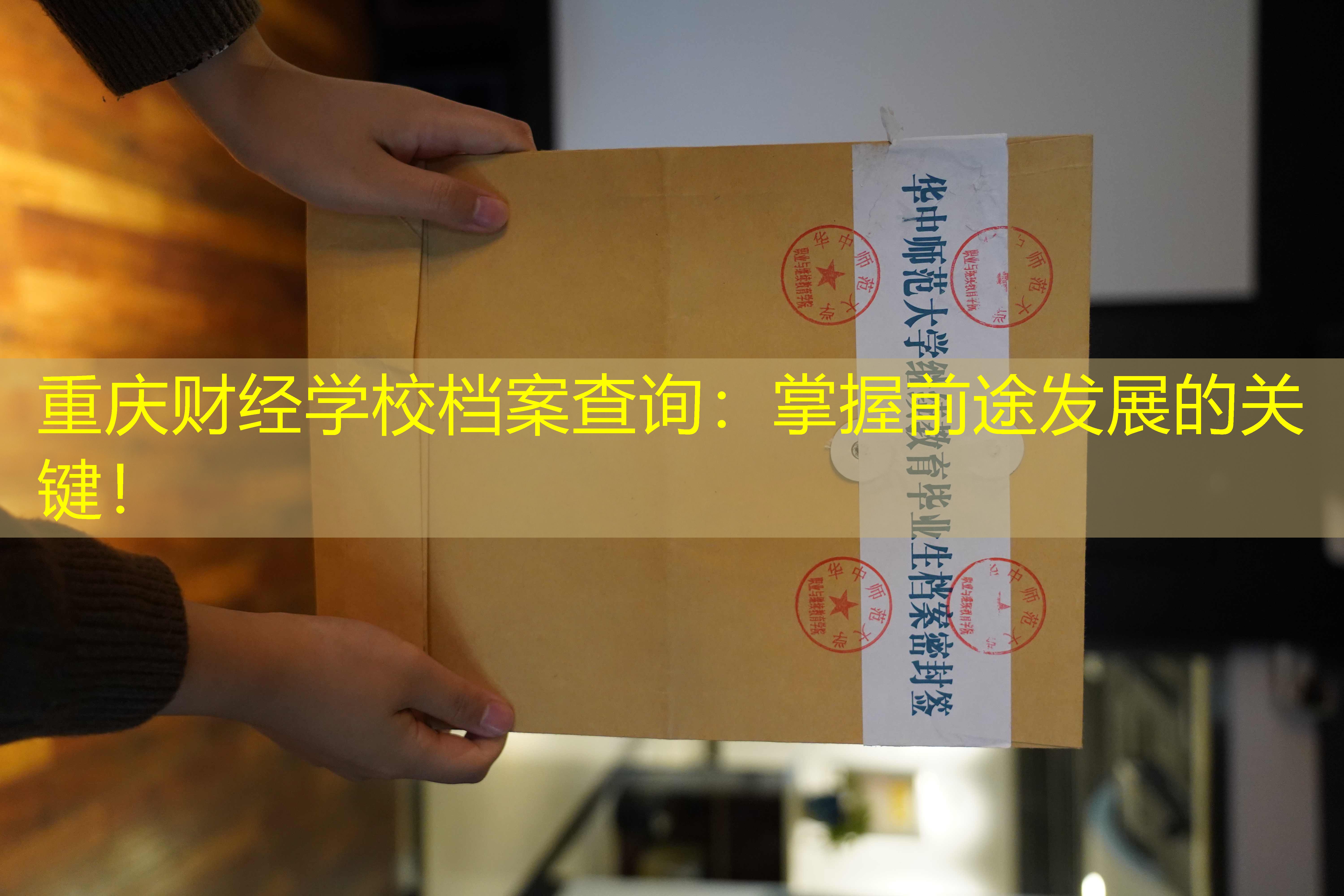 档案查询