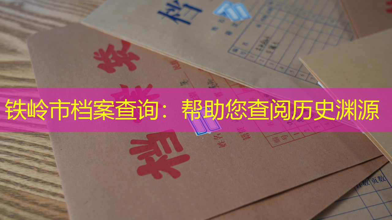 档案查询