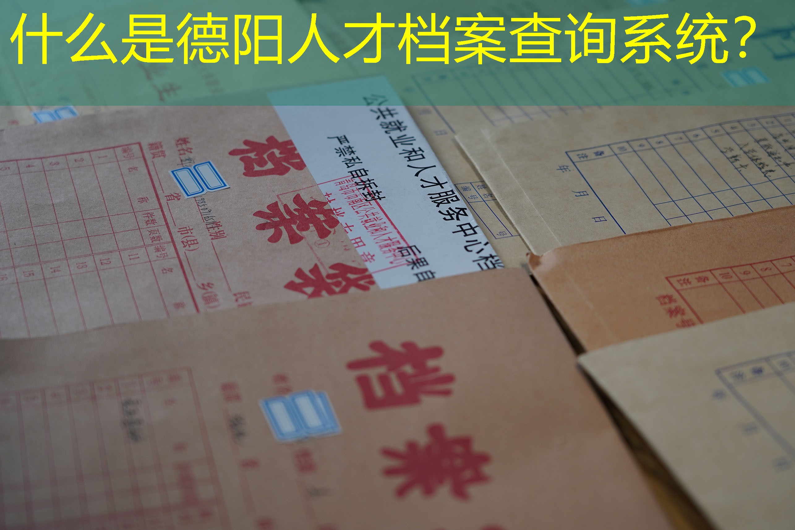 档案查询