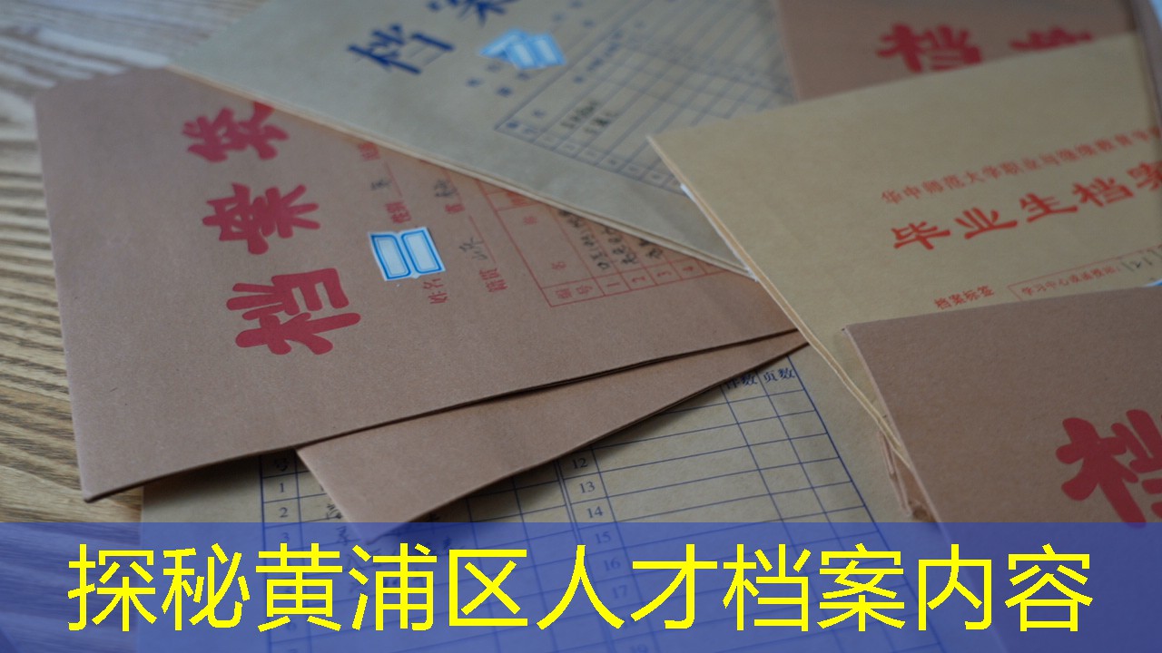 档案查询