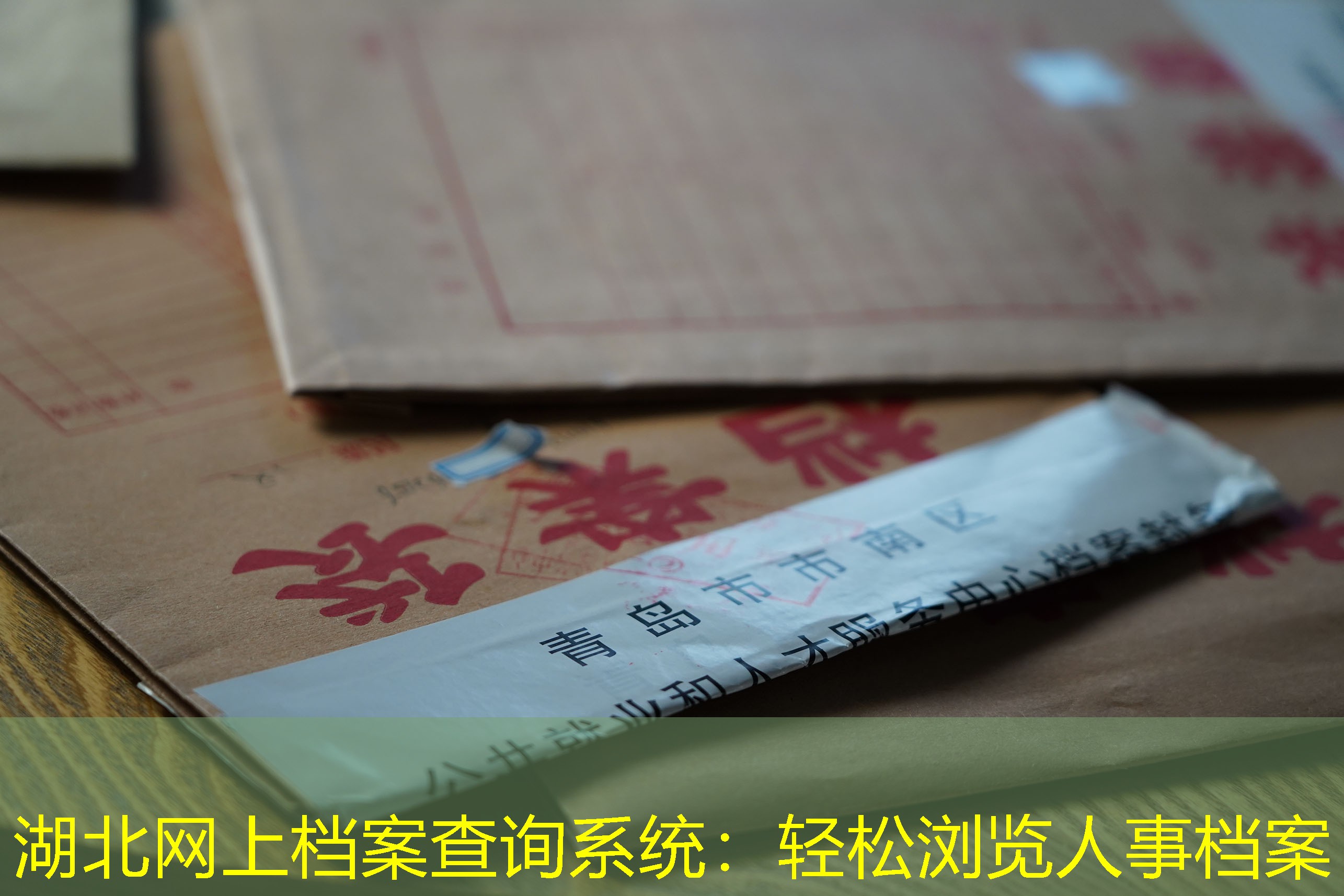 档案查询
