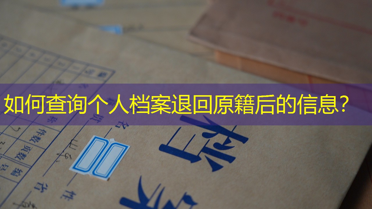 档案查询