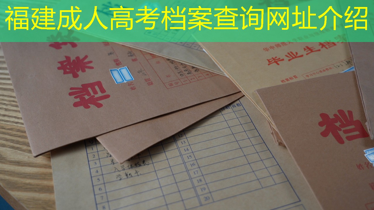 档案查询