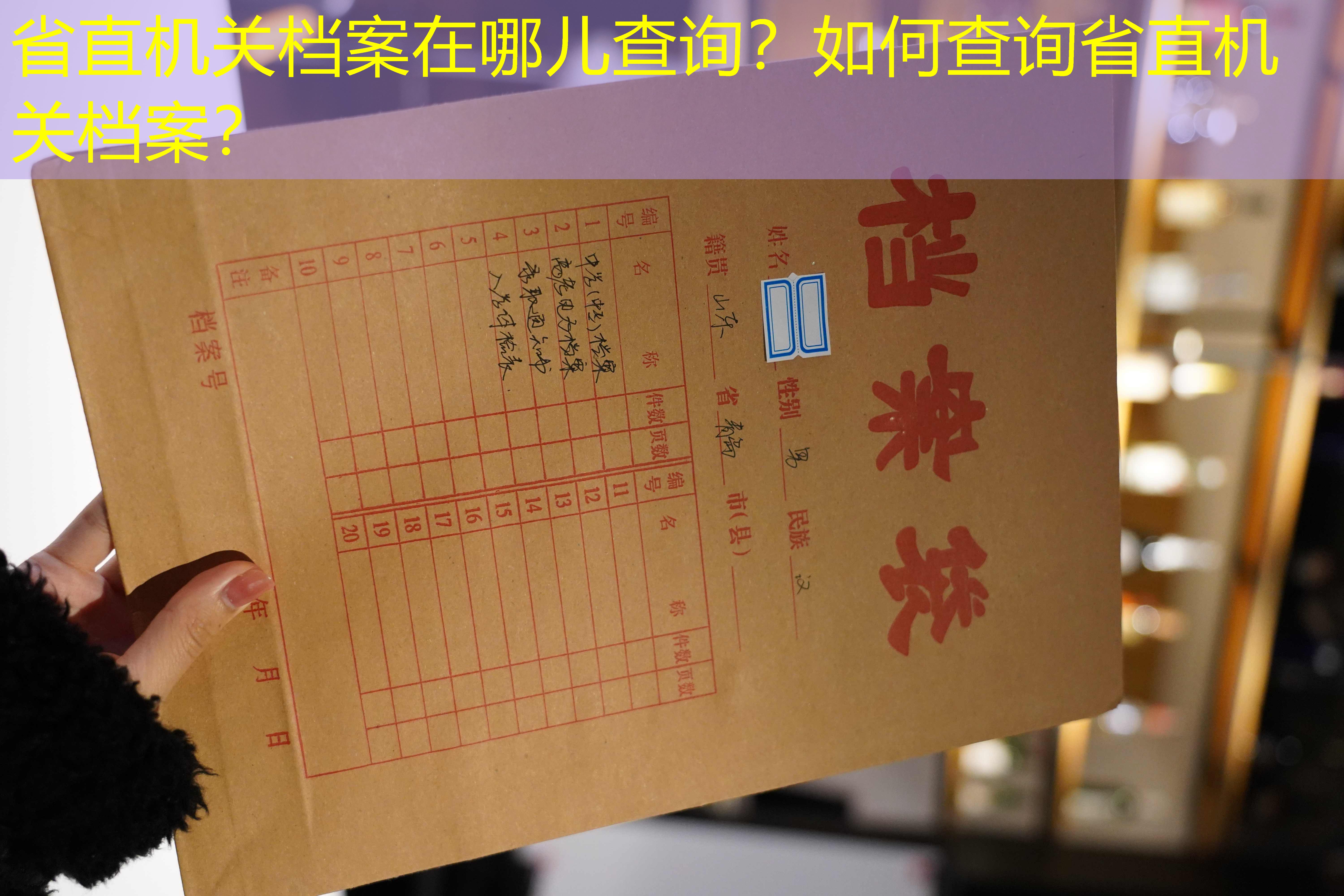档案查询