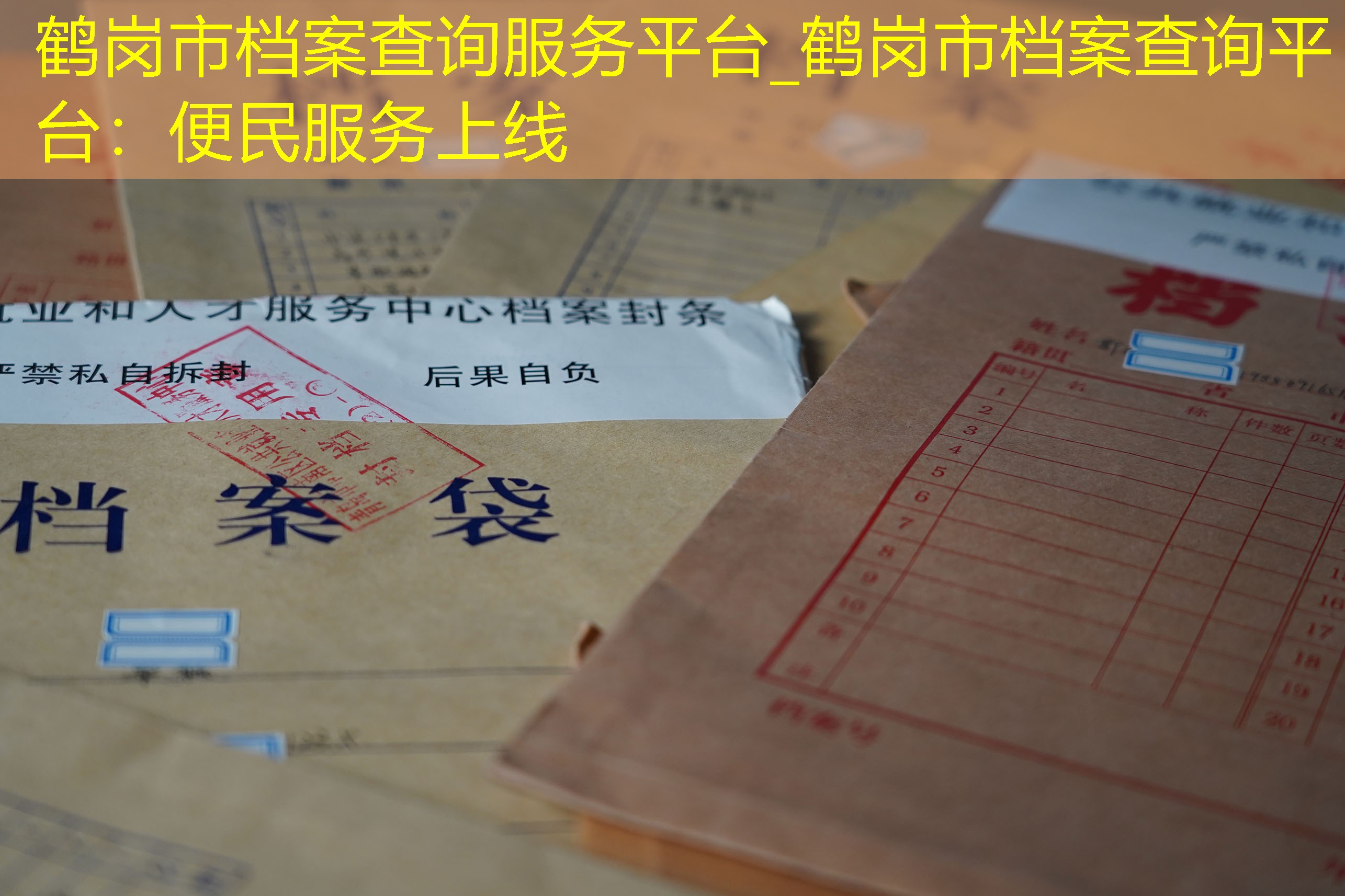 档案查询