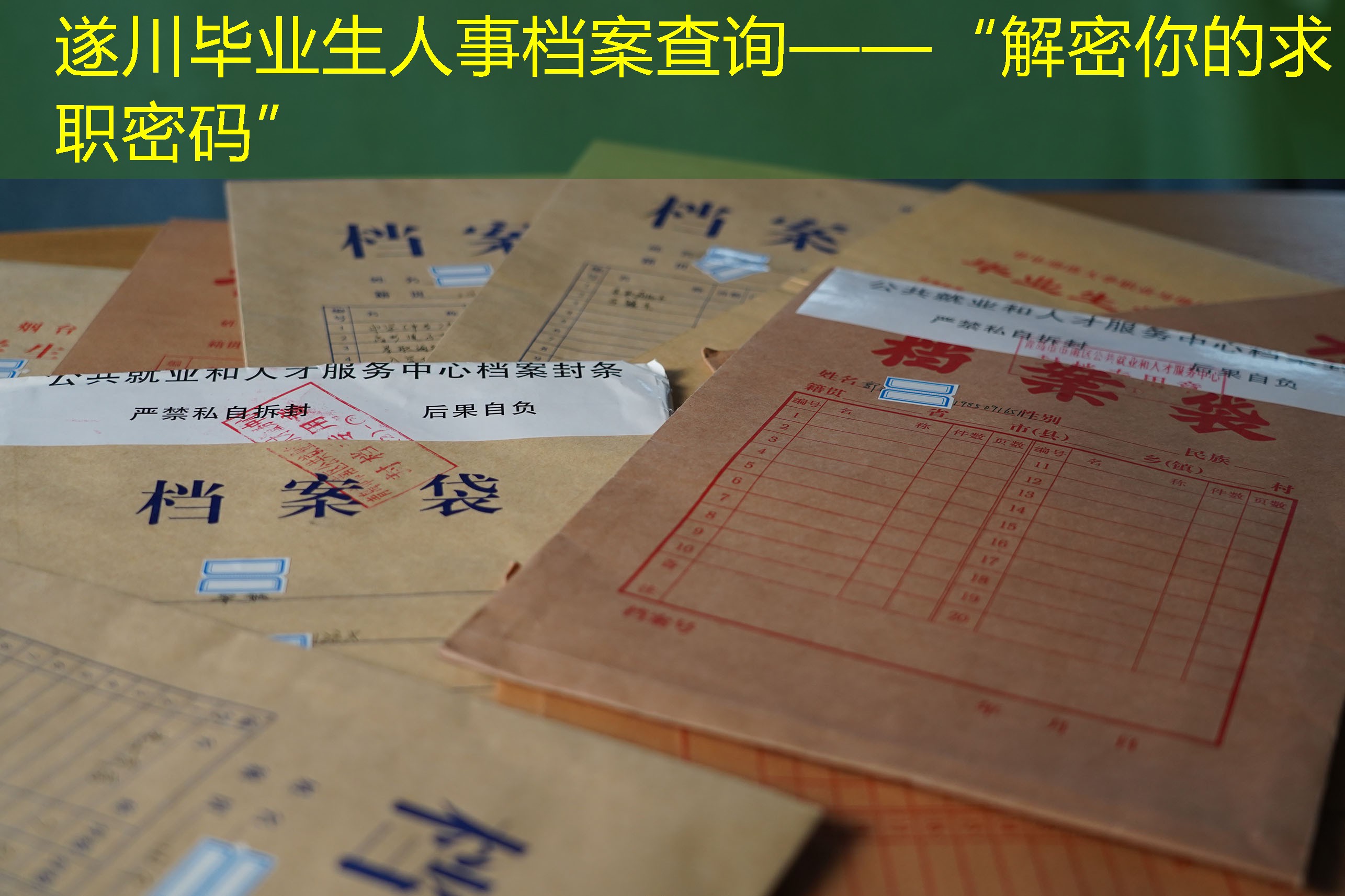 档案查询