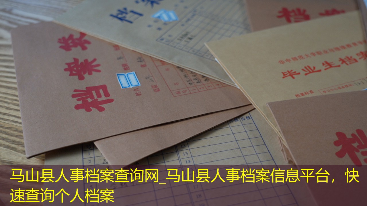 档案查询