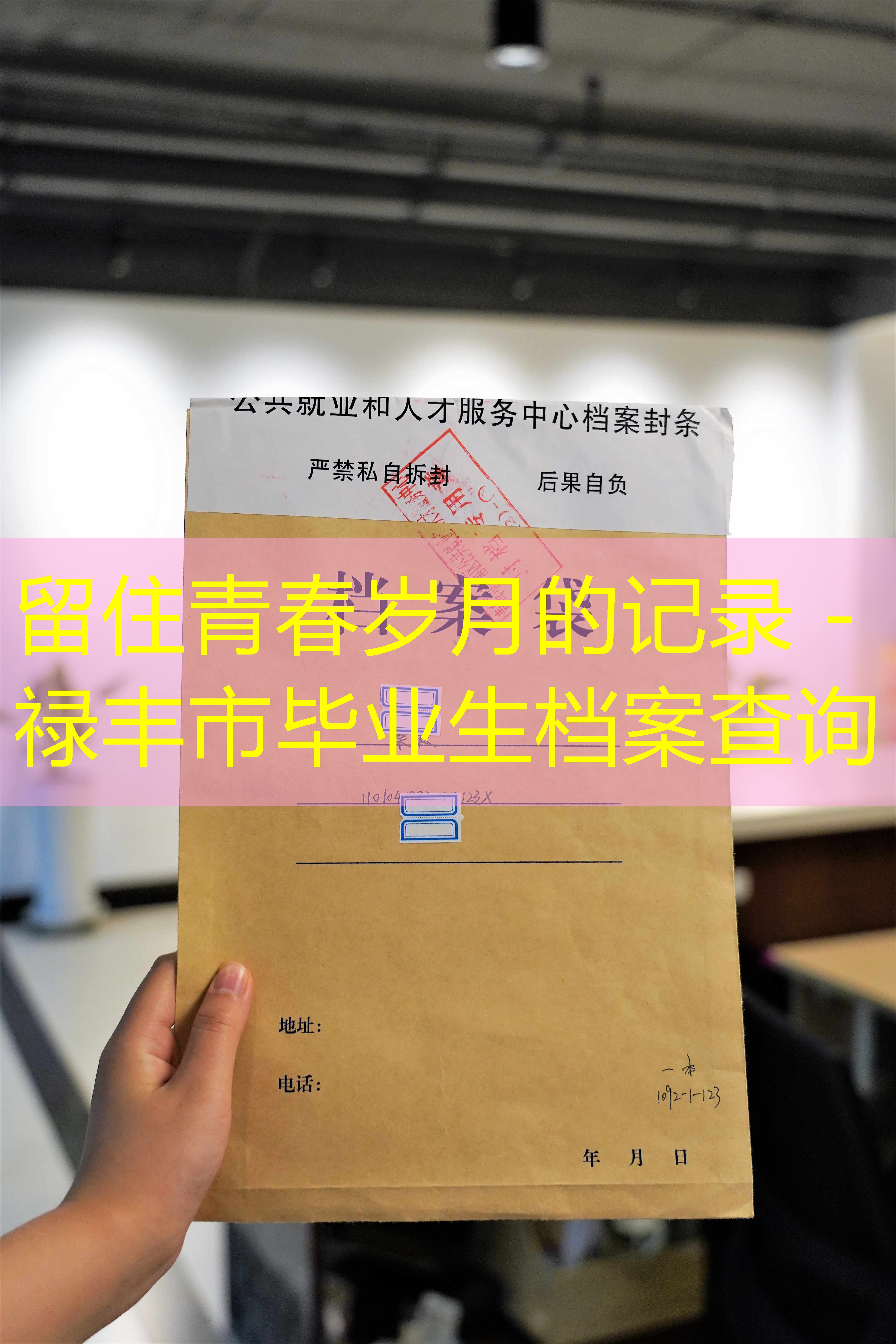 档案查询