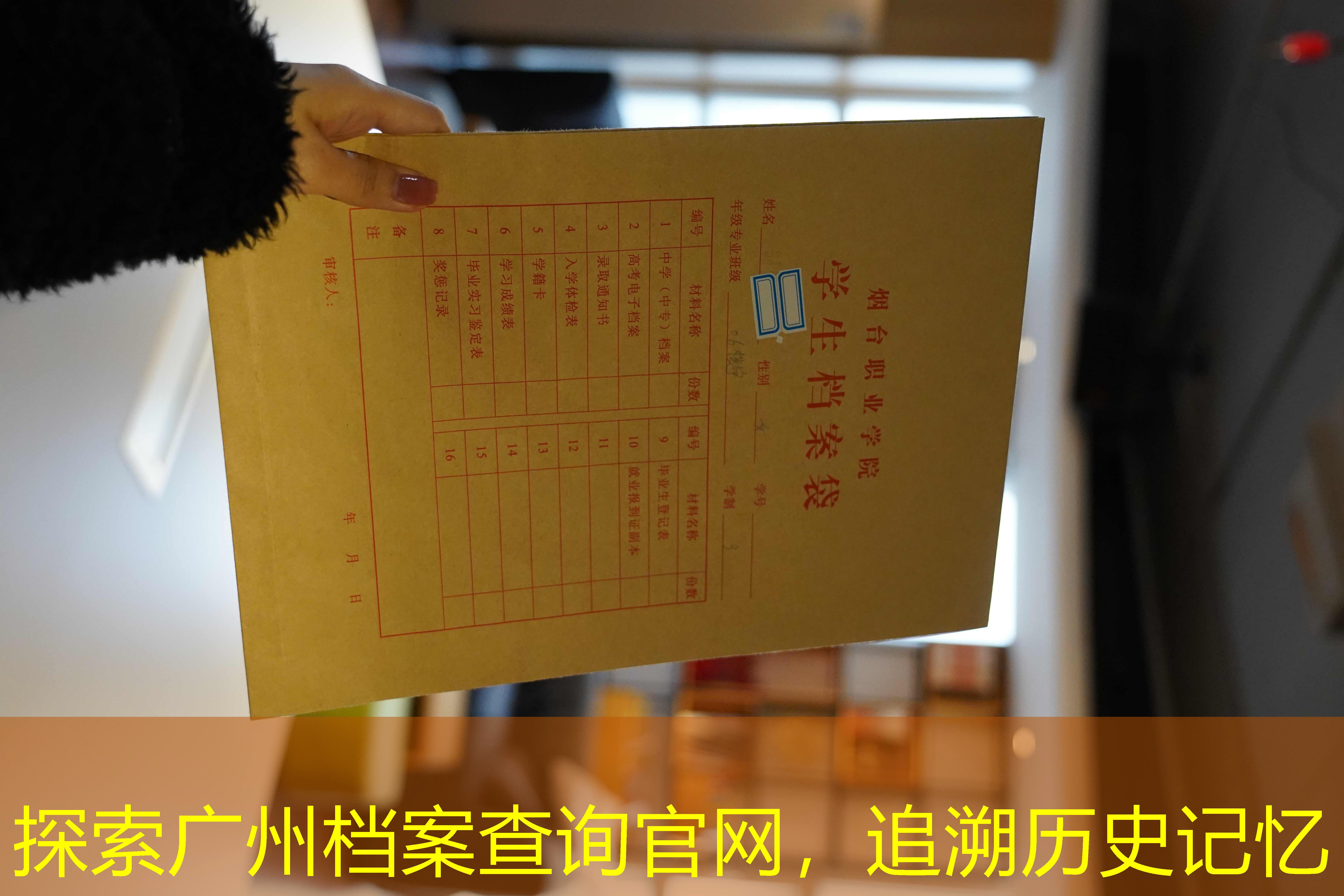 档案查询