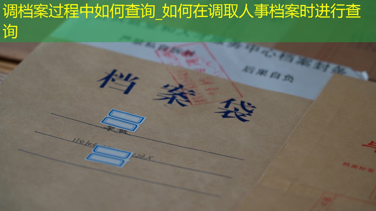档案查询