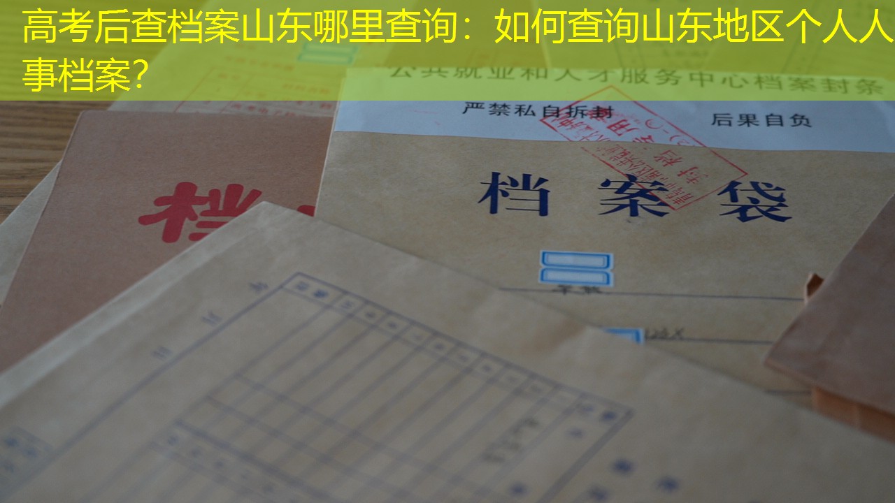 档案查询