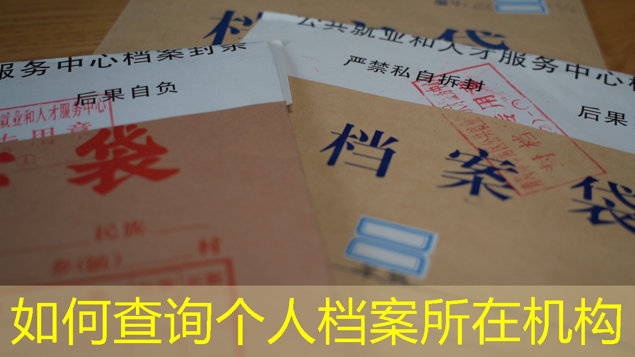 档案查询