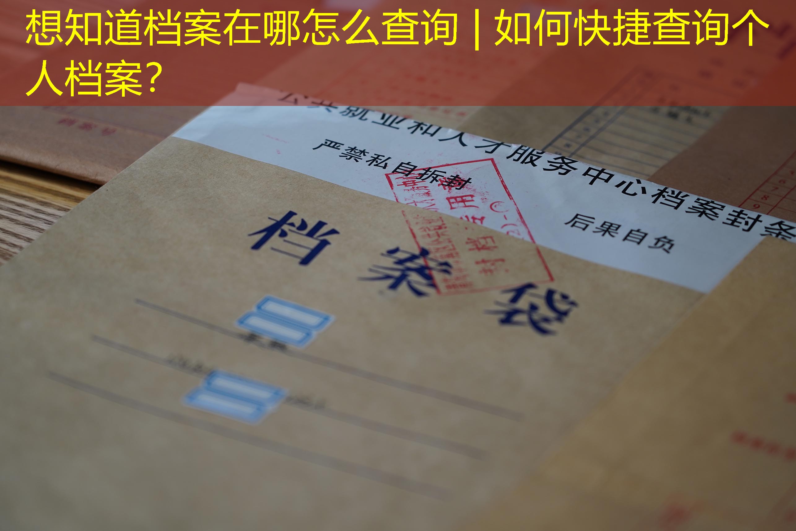 档案查询
