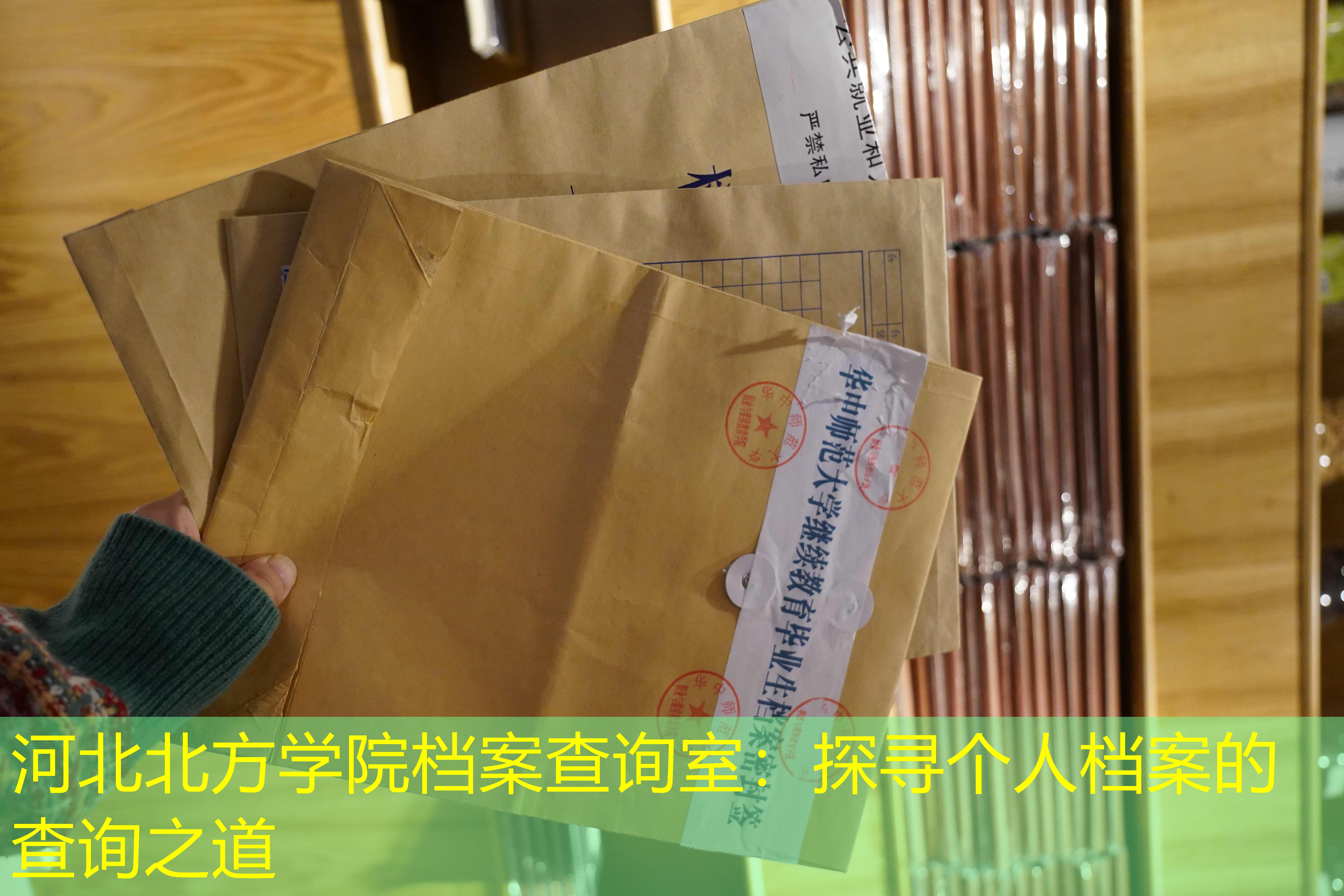 档案查询
