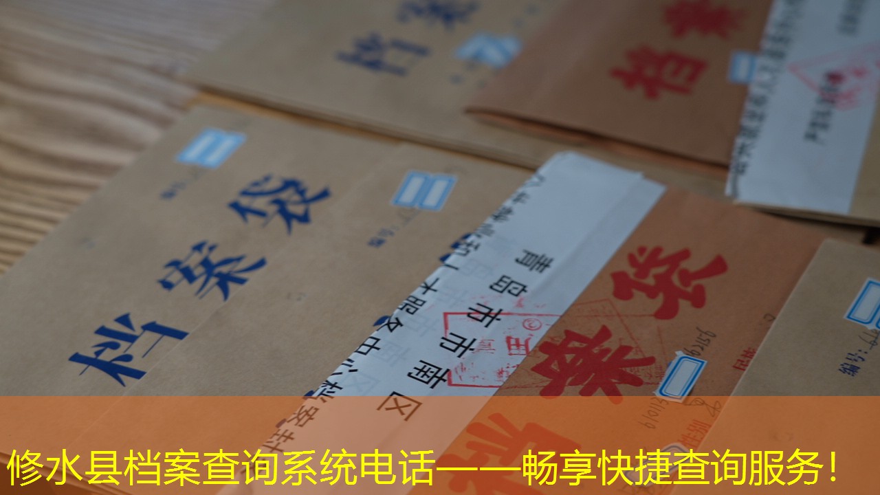 档案查询