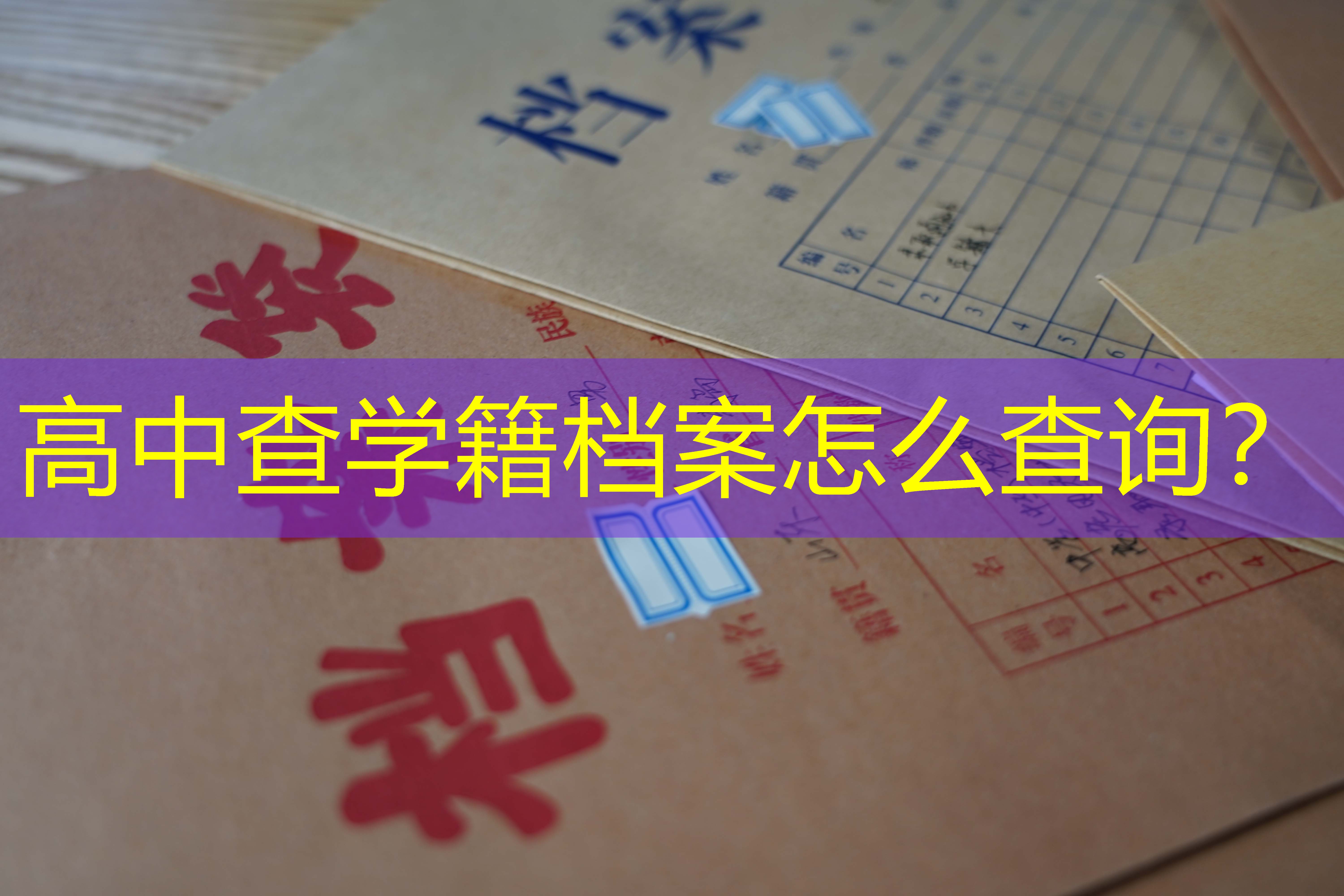 档案查询