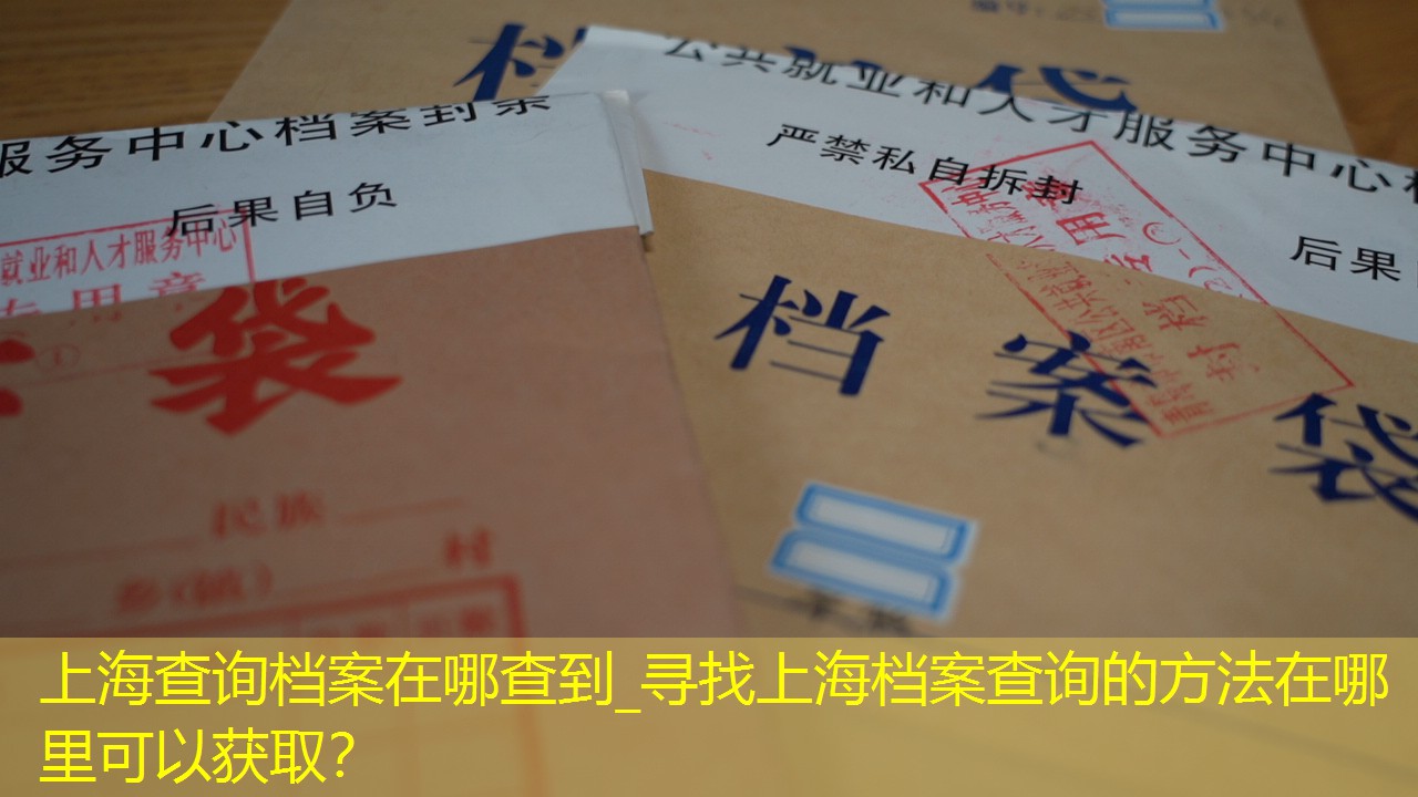 档案查询