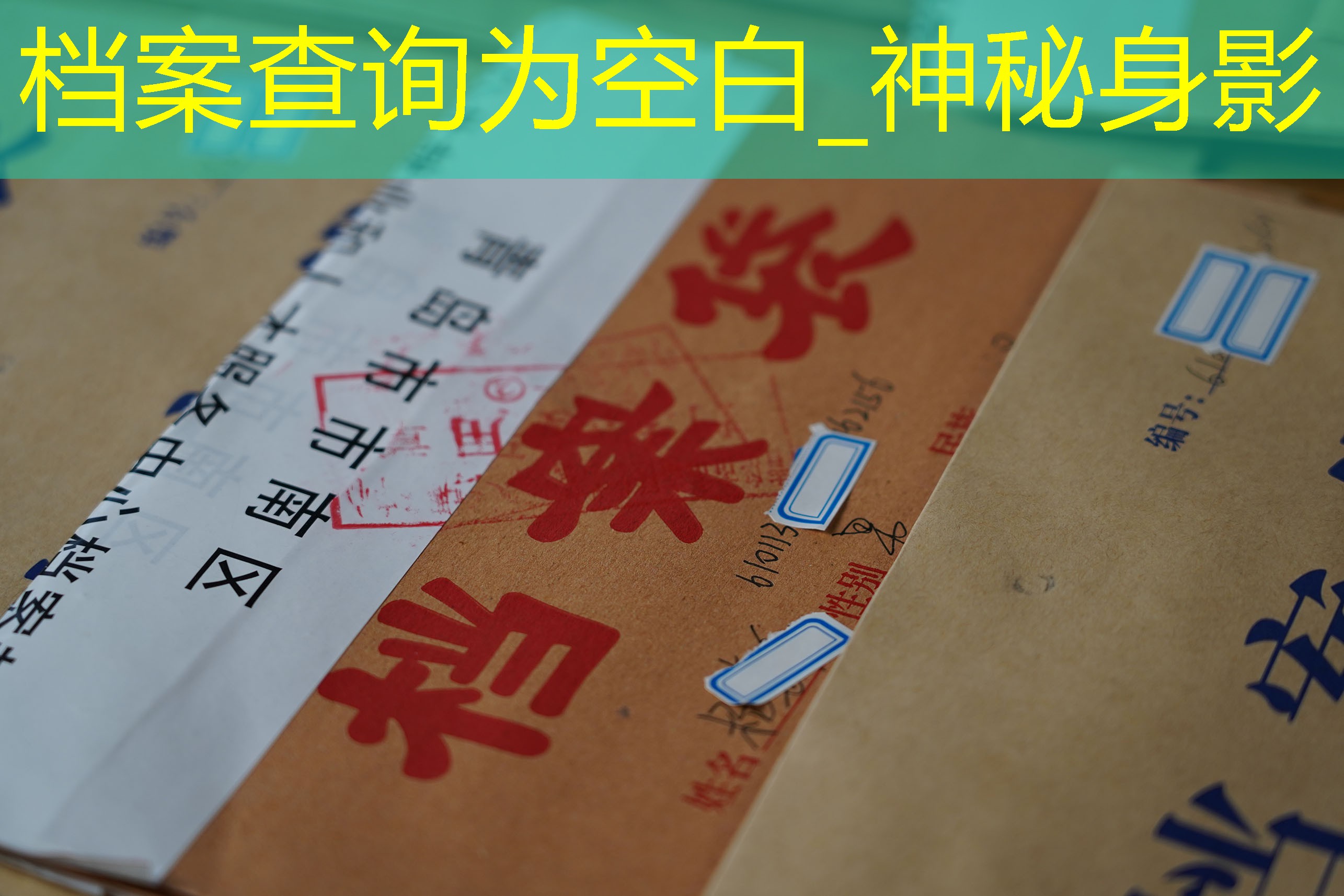 档案查询