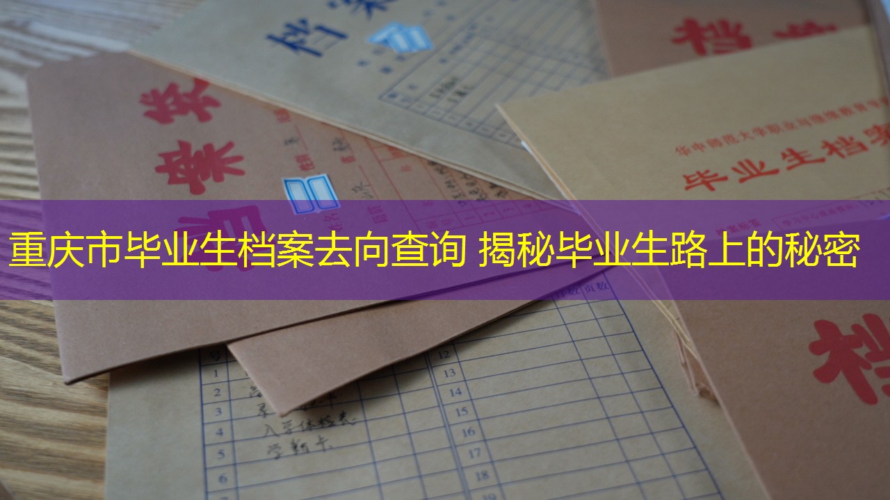 档案查询