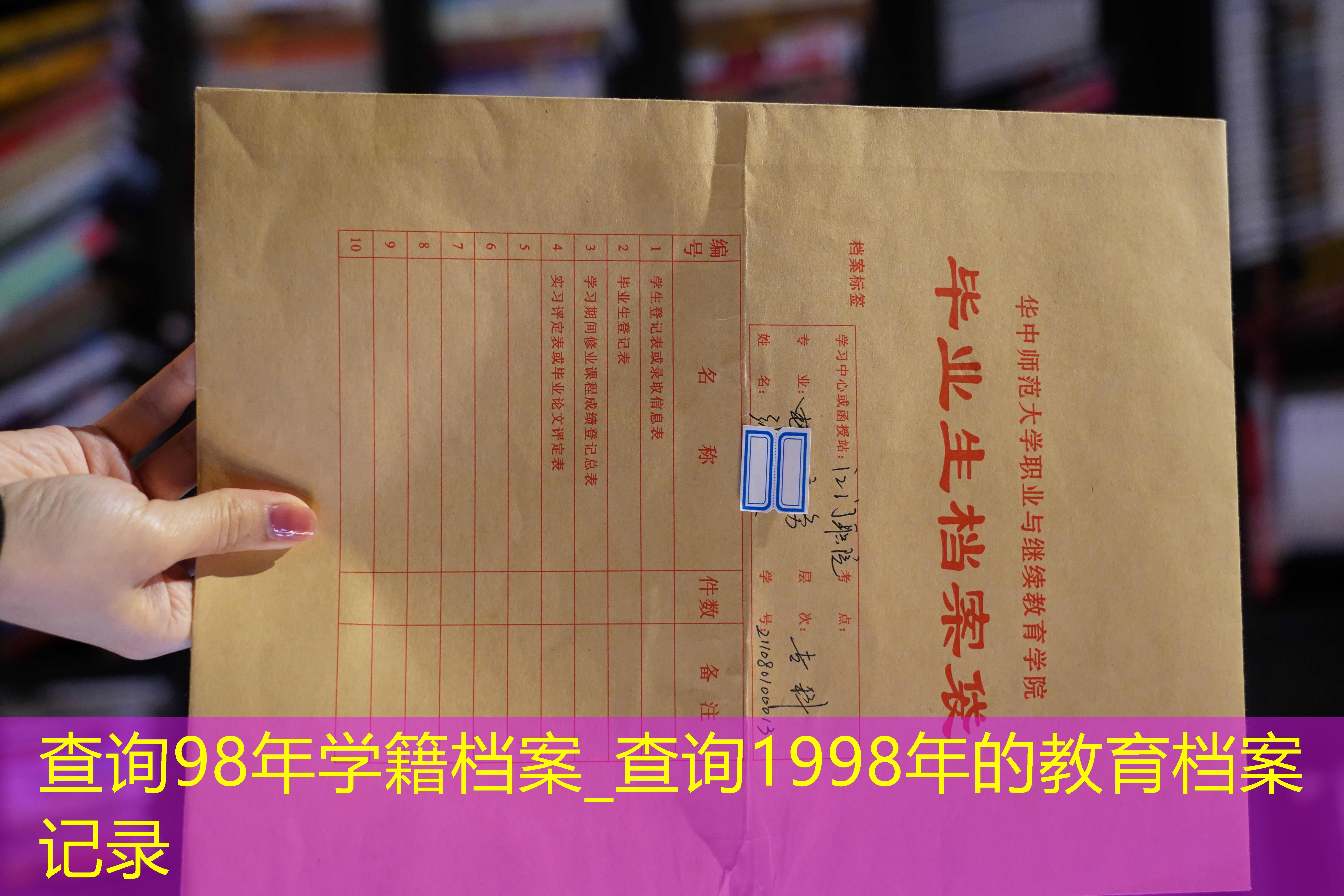 档案查询