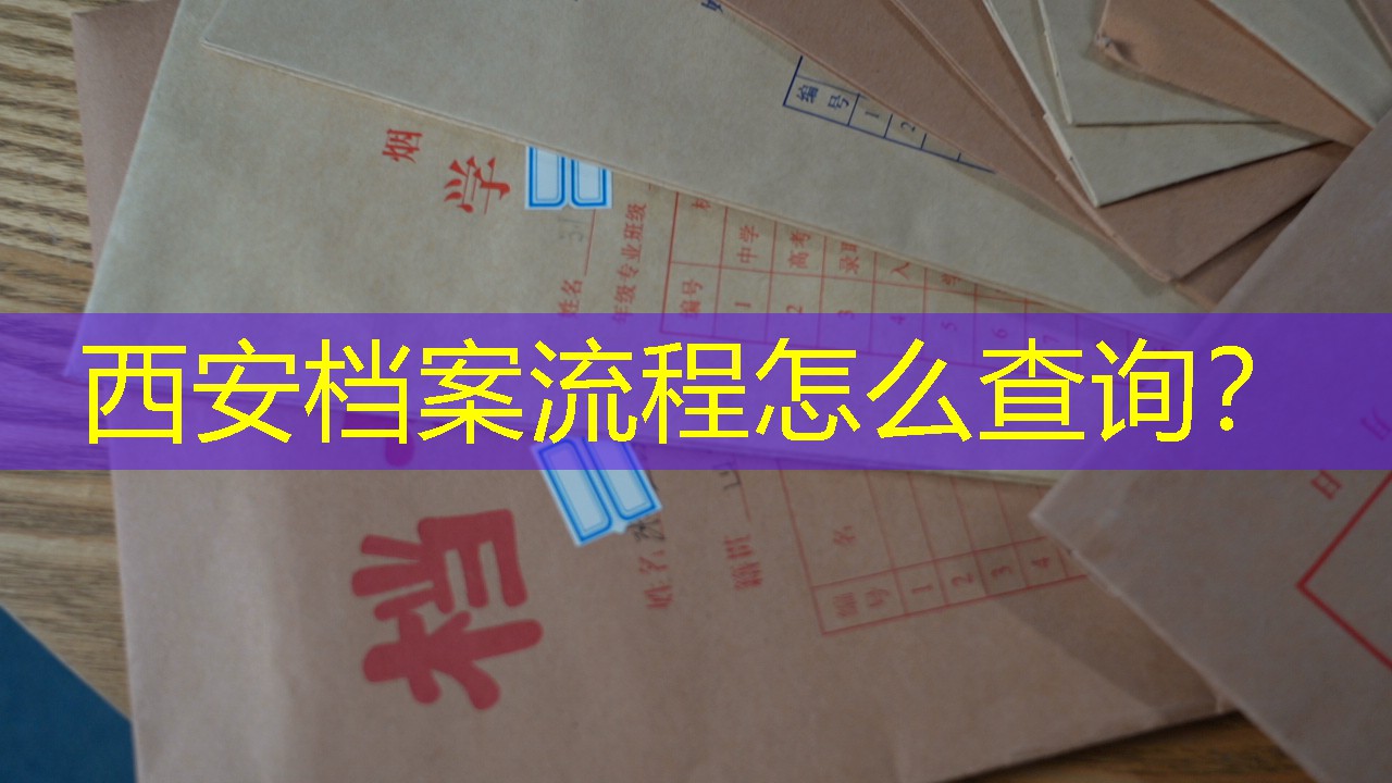 档案查询