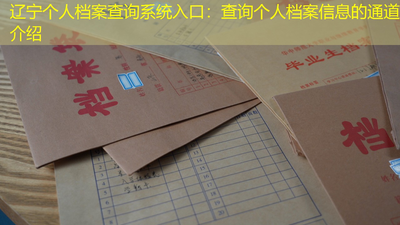 档案查询
