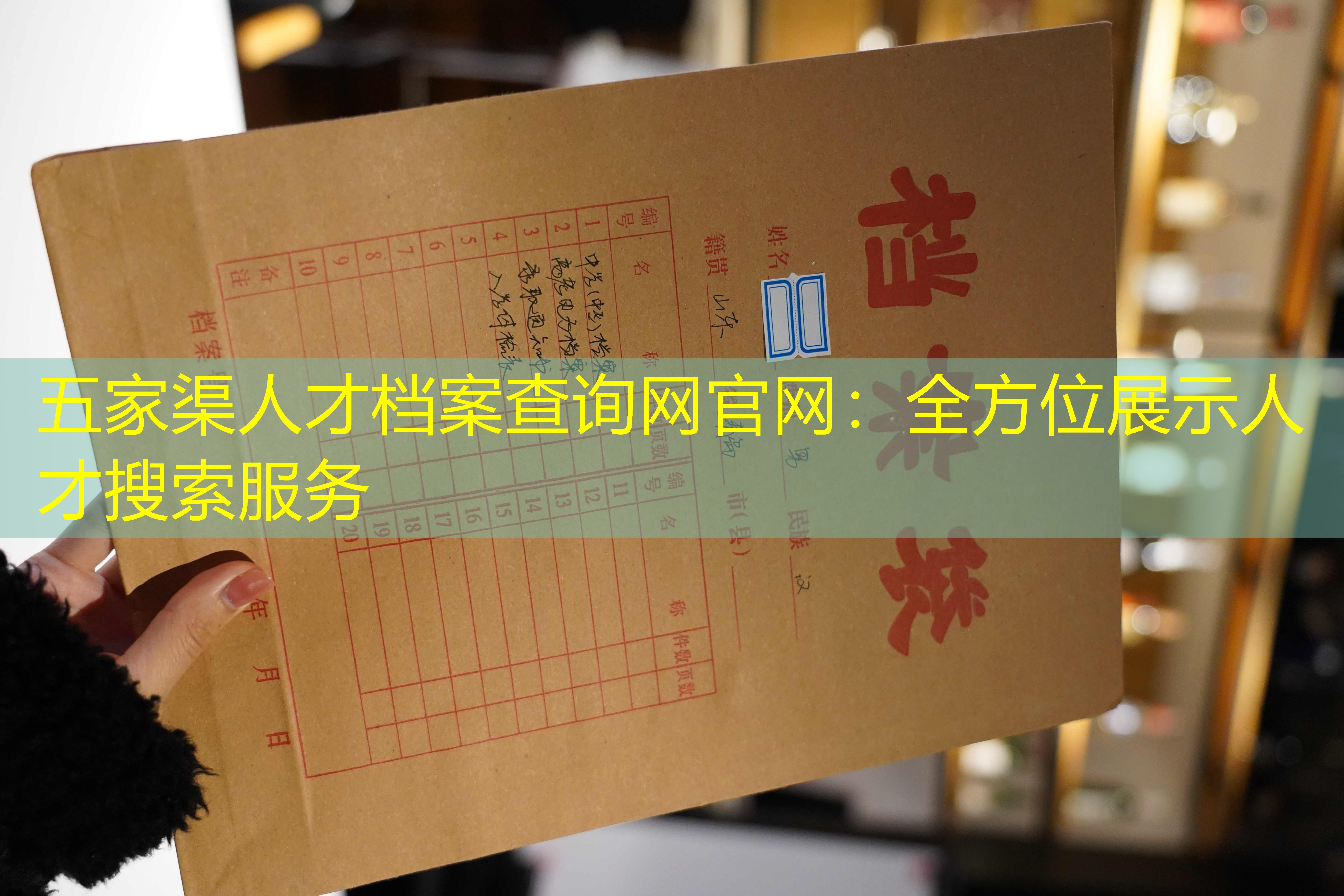 档案查询