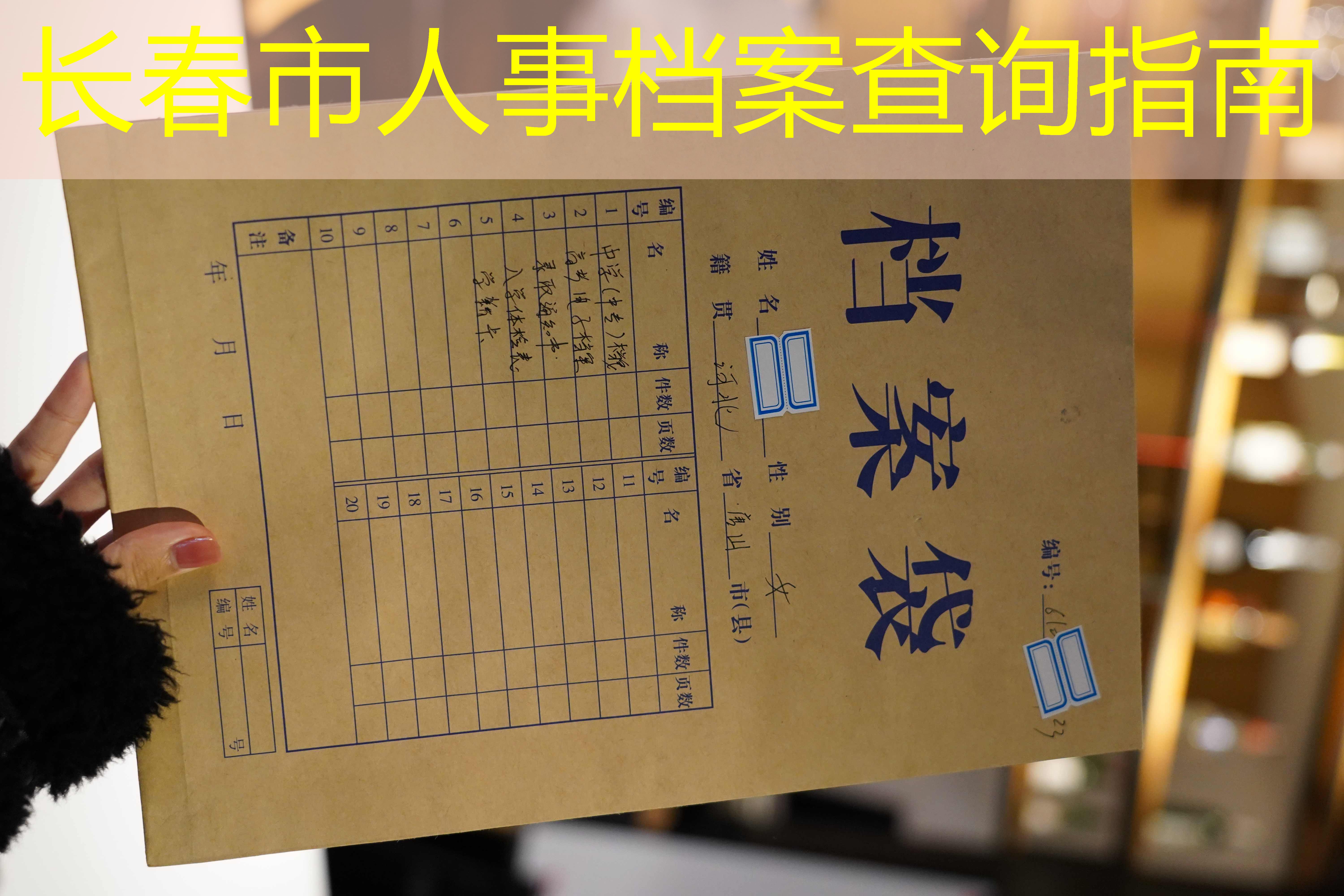 档案查询