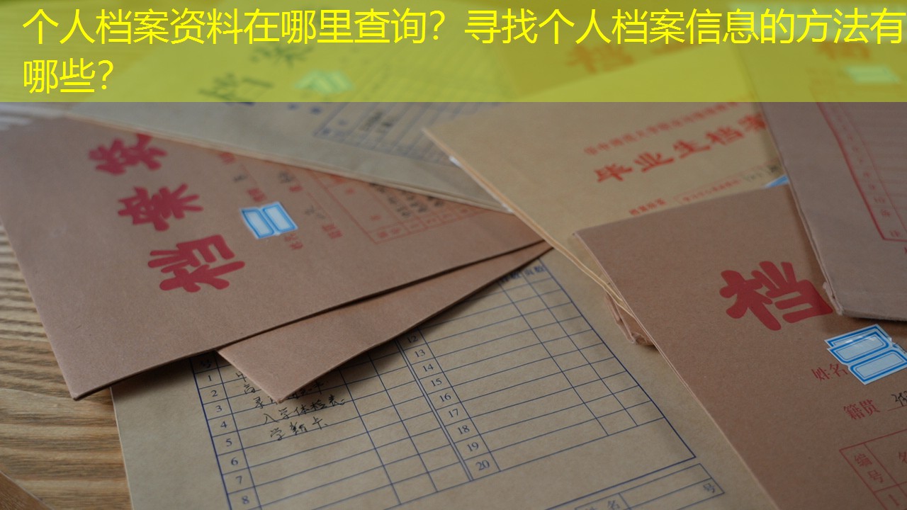 档案查询