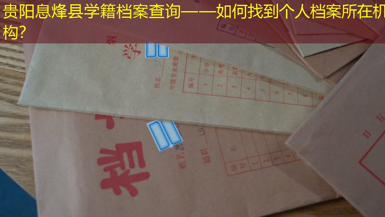 档案查询