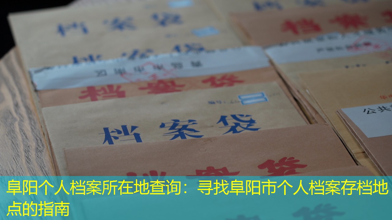 档案查询