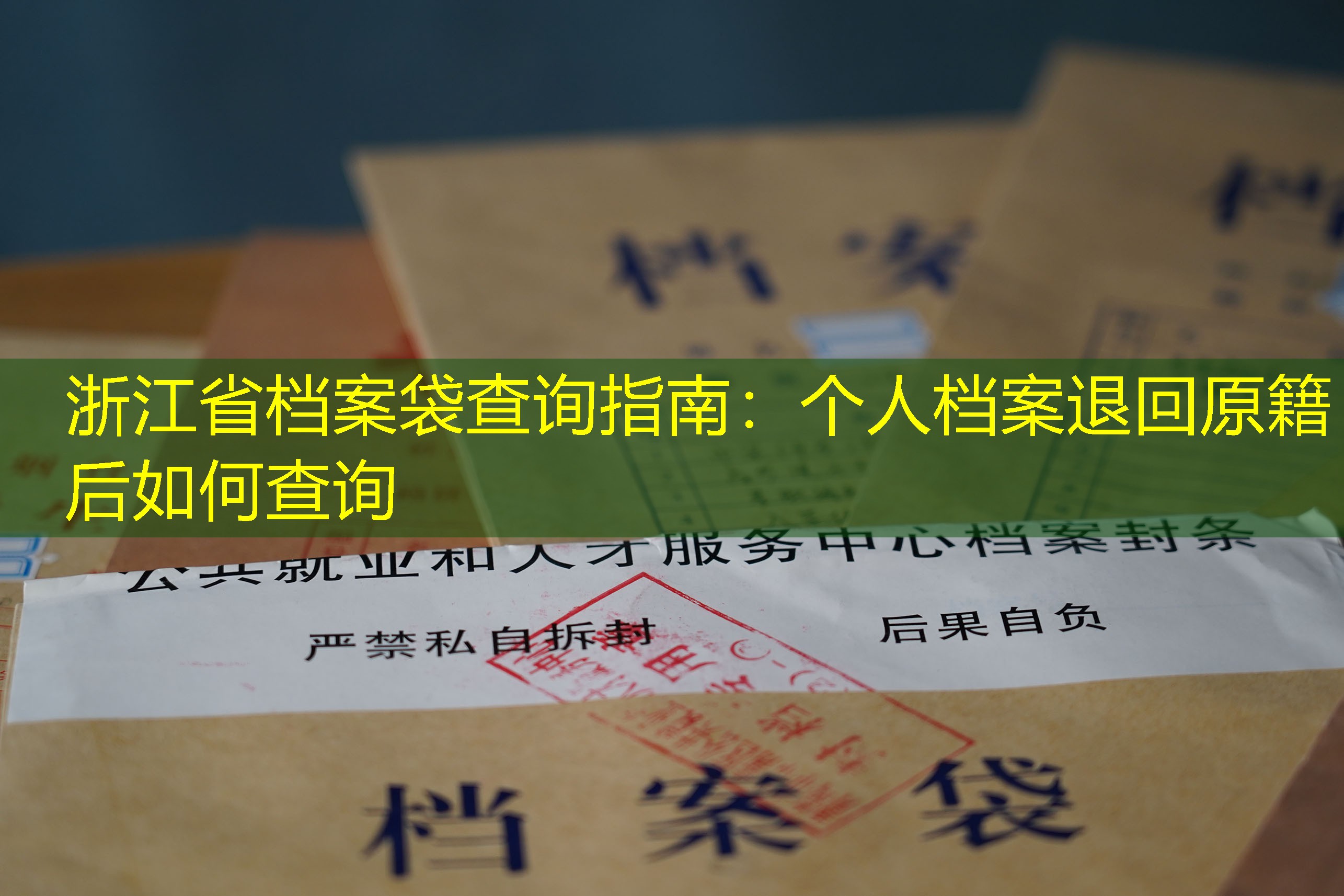 档案查询
