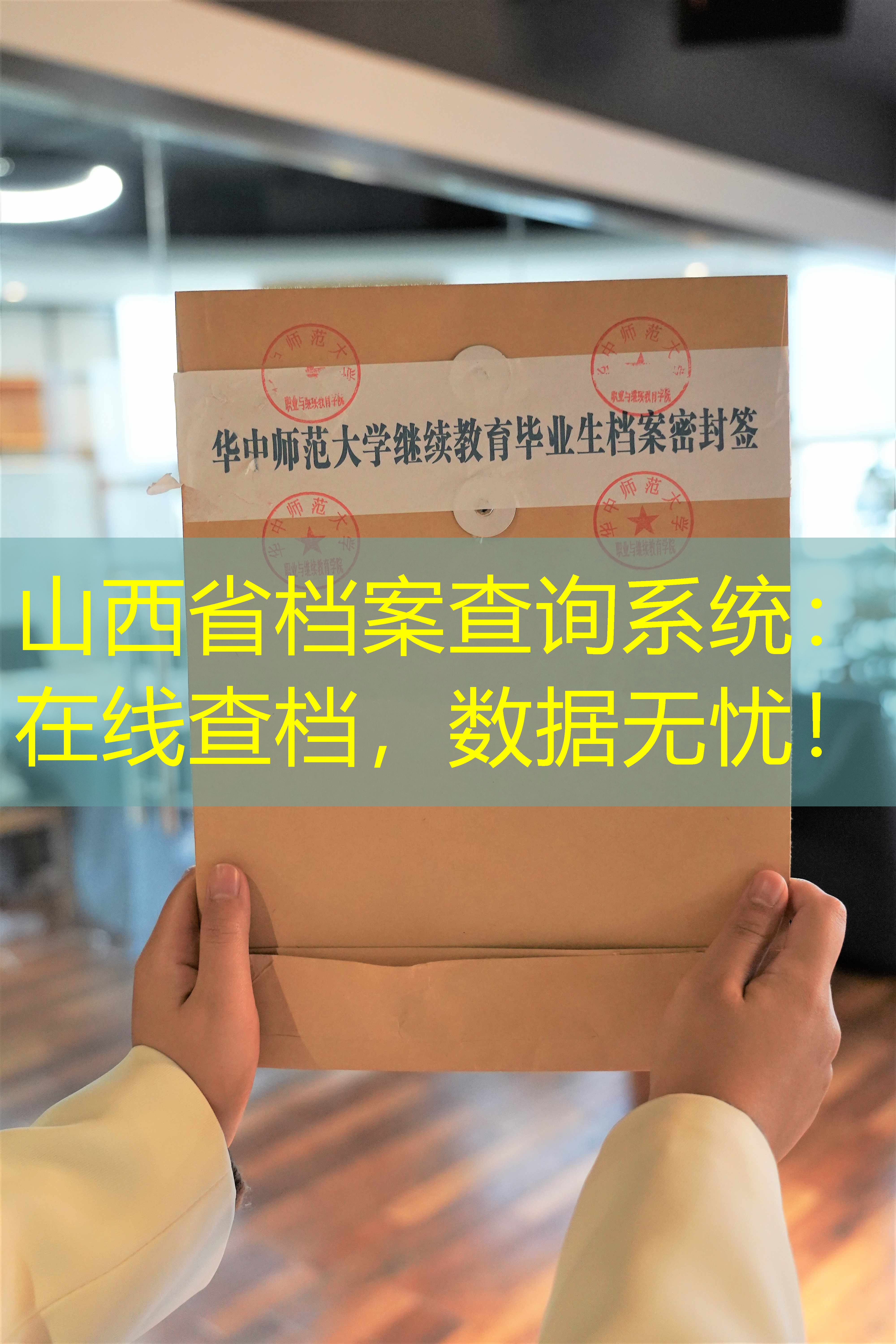 档案查询