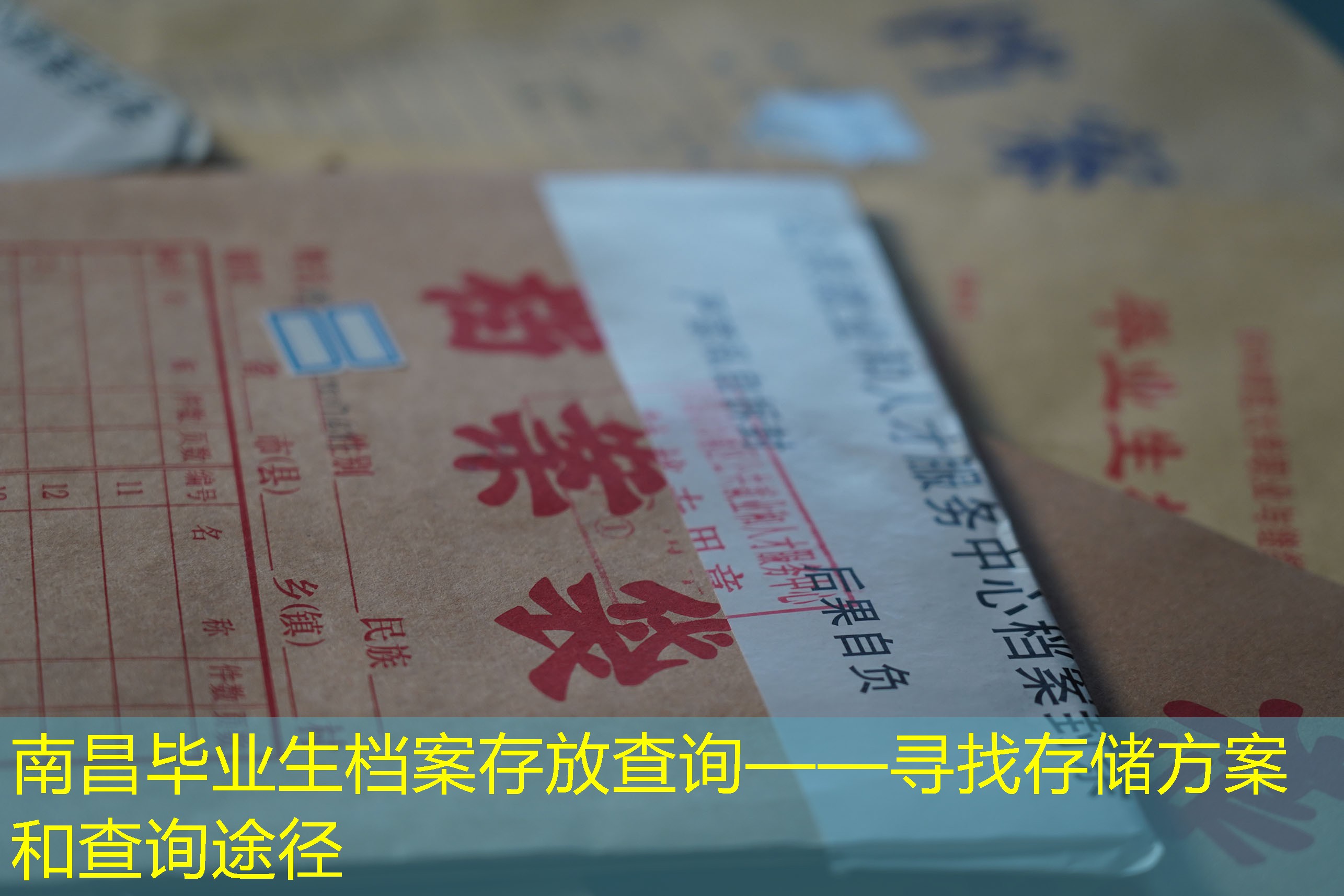 档案查询