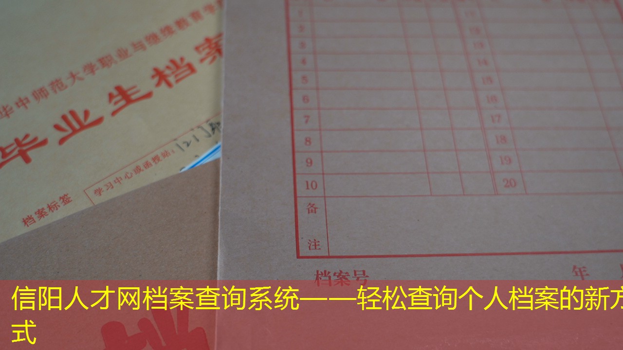 档案查询
