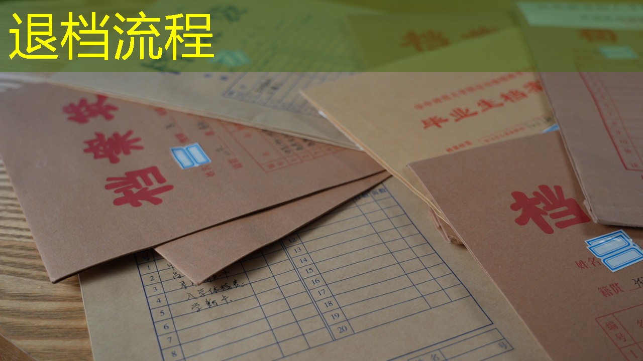 档案查询