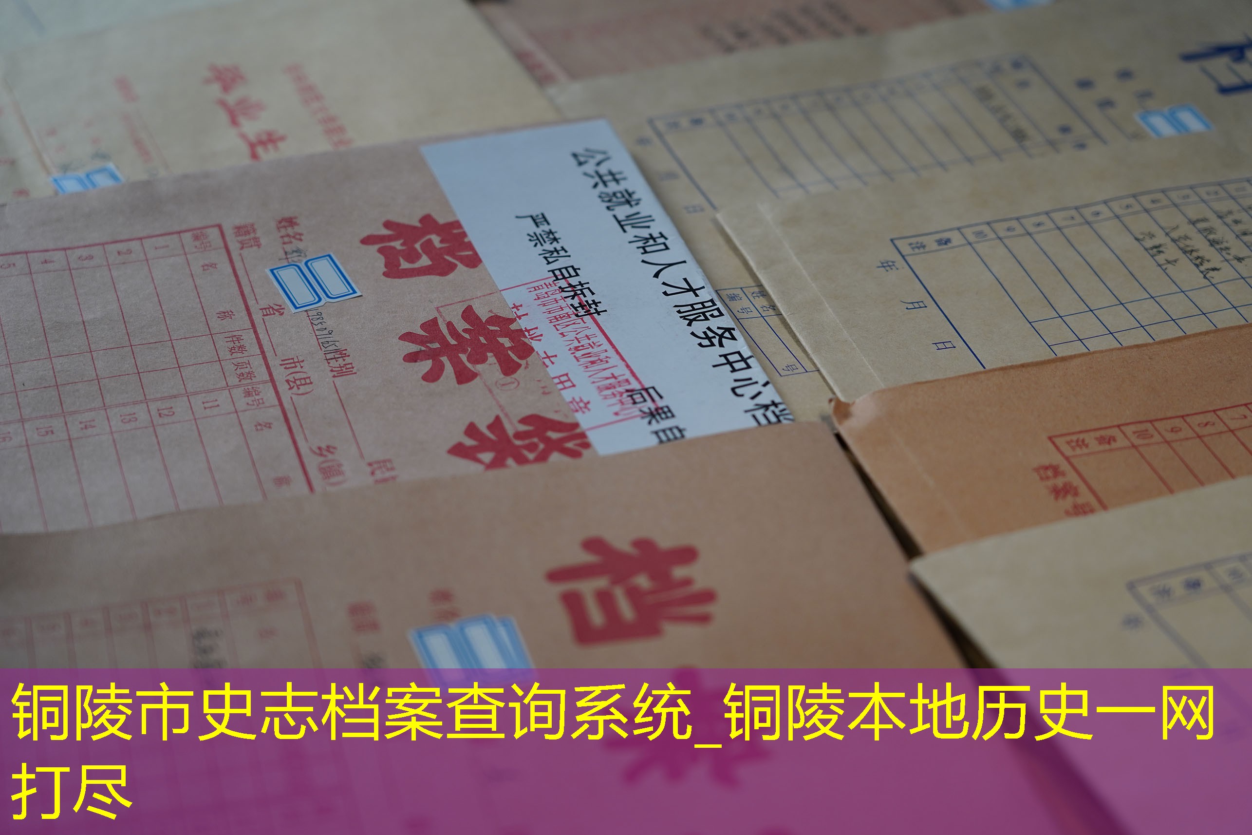 档案查询