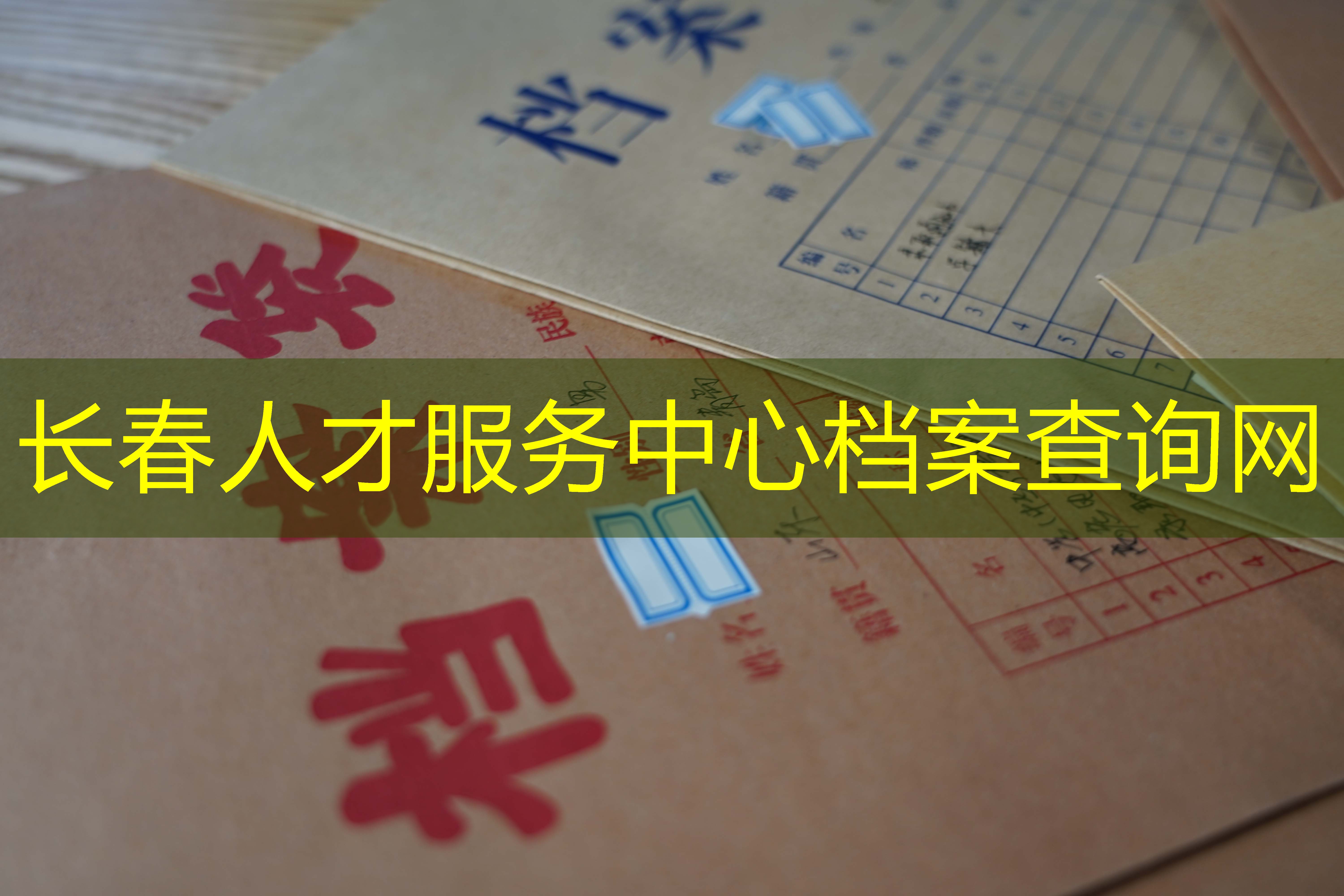 档案查询