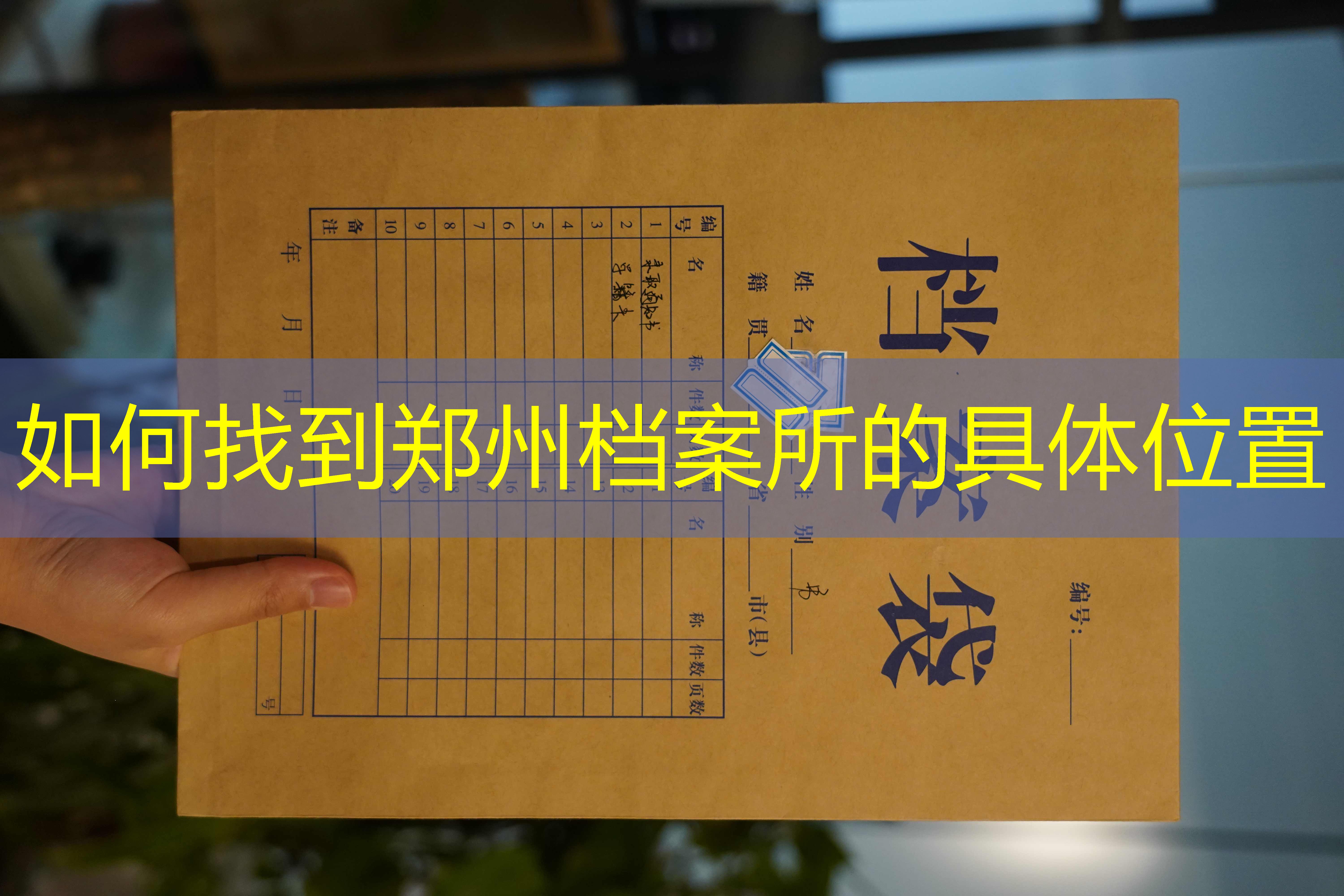 档案查询