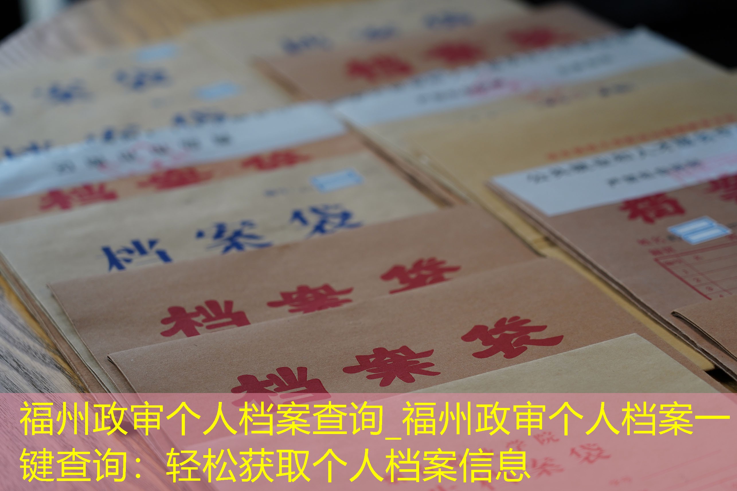 档案查询