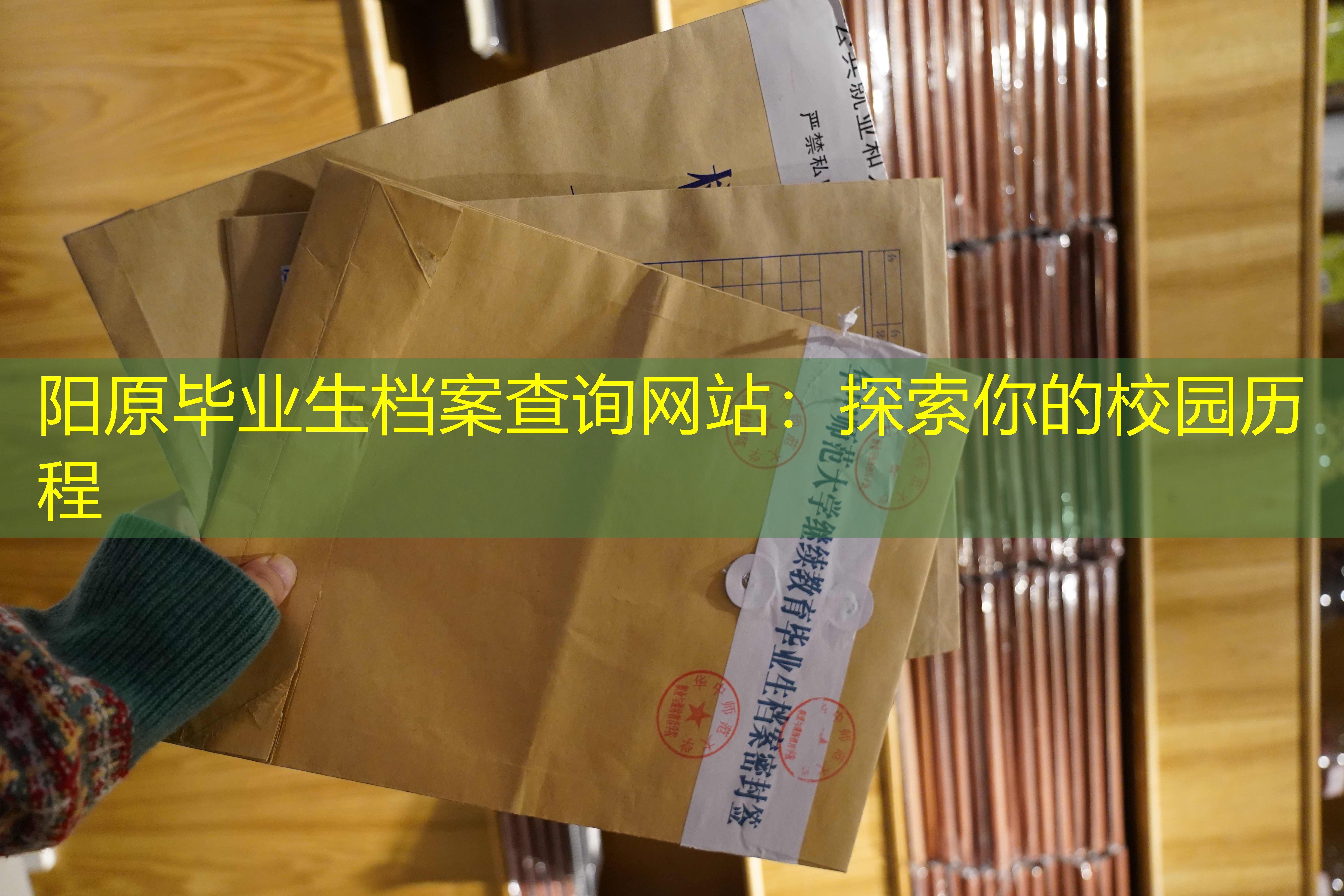 档案查询